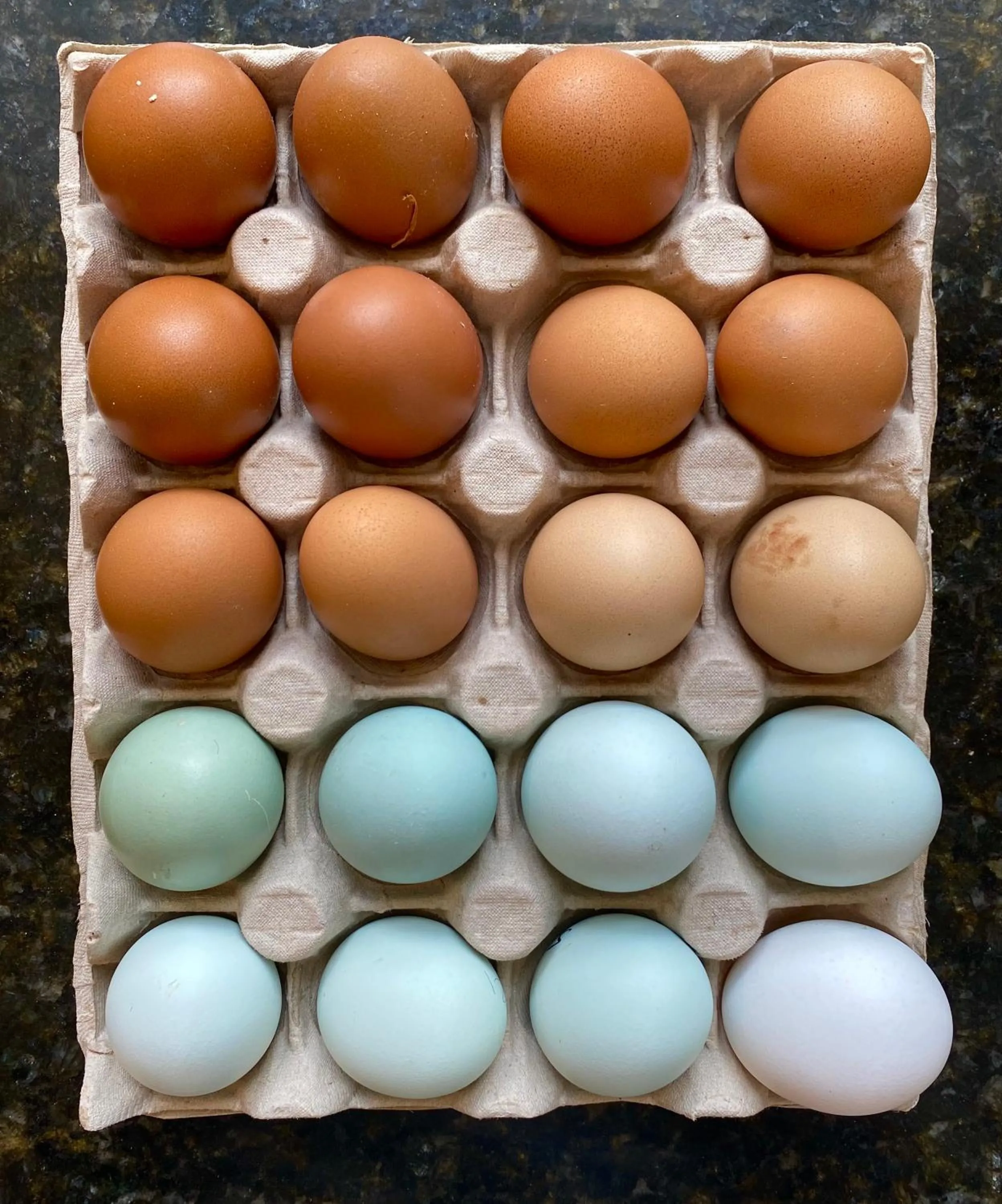 Food and drinks in NOUBAR