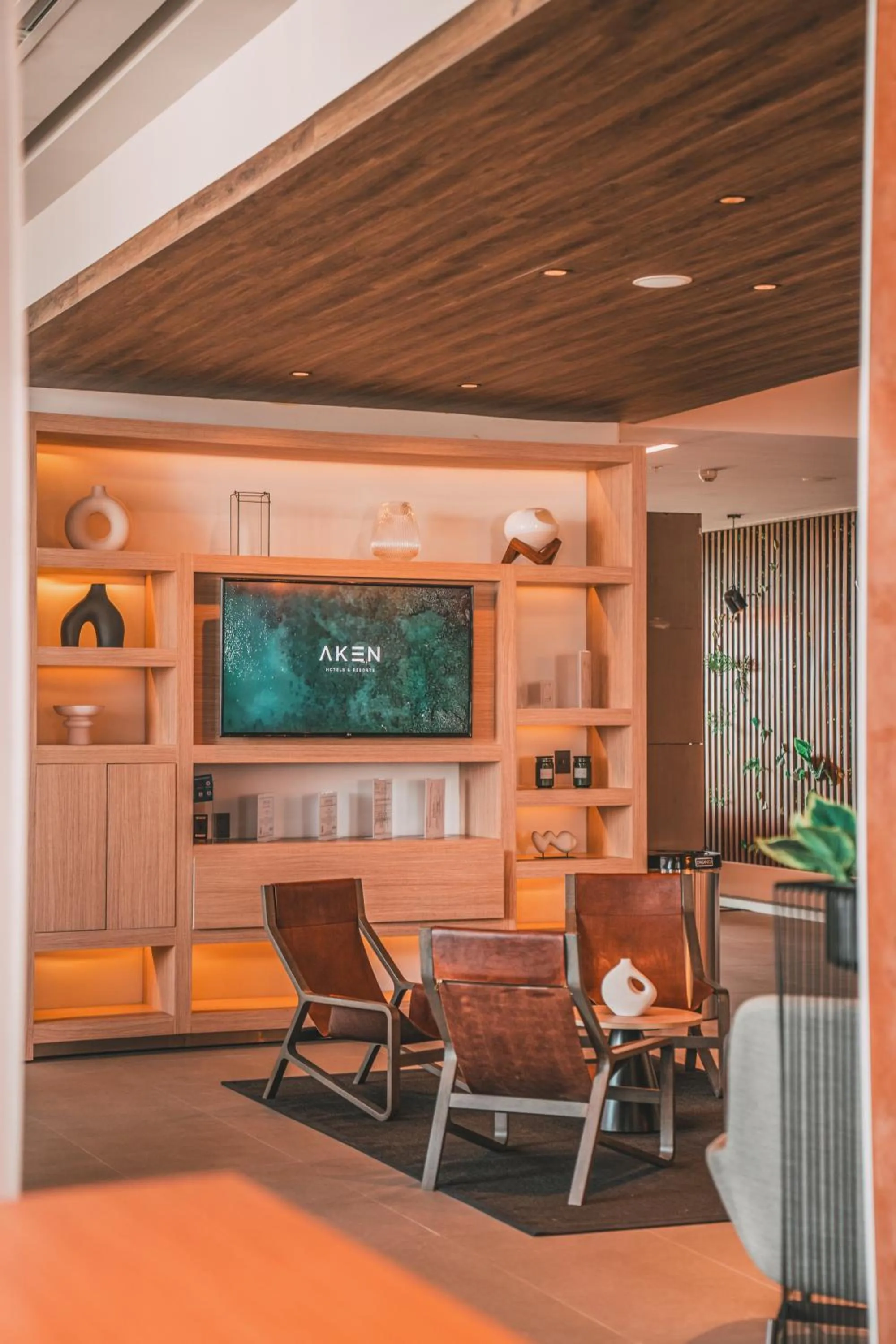 TV and multimedia in AKEN MIND Mérida Hotel