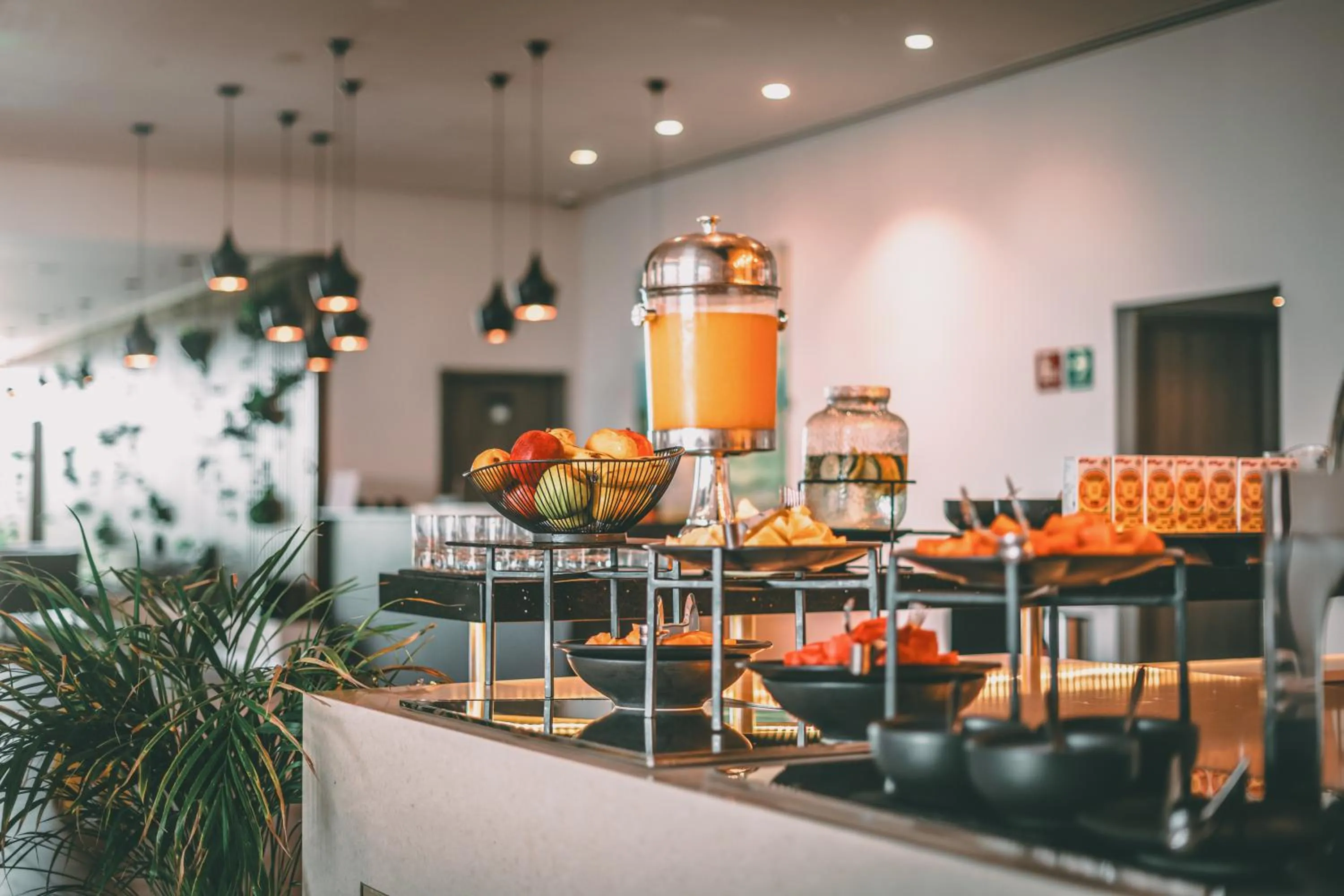 Restaurant/places to eat in AKEN MIND Mérida Hotel