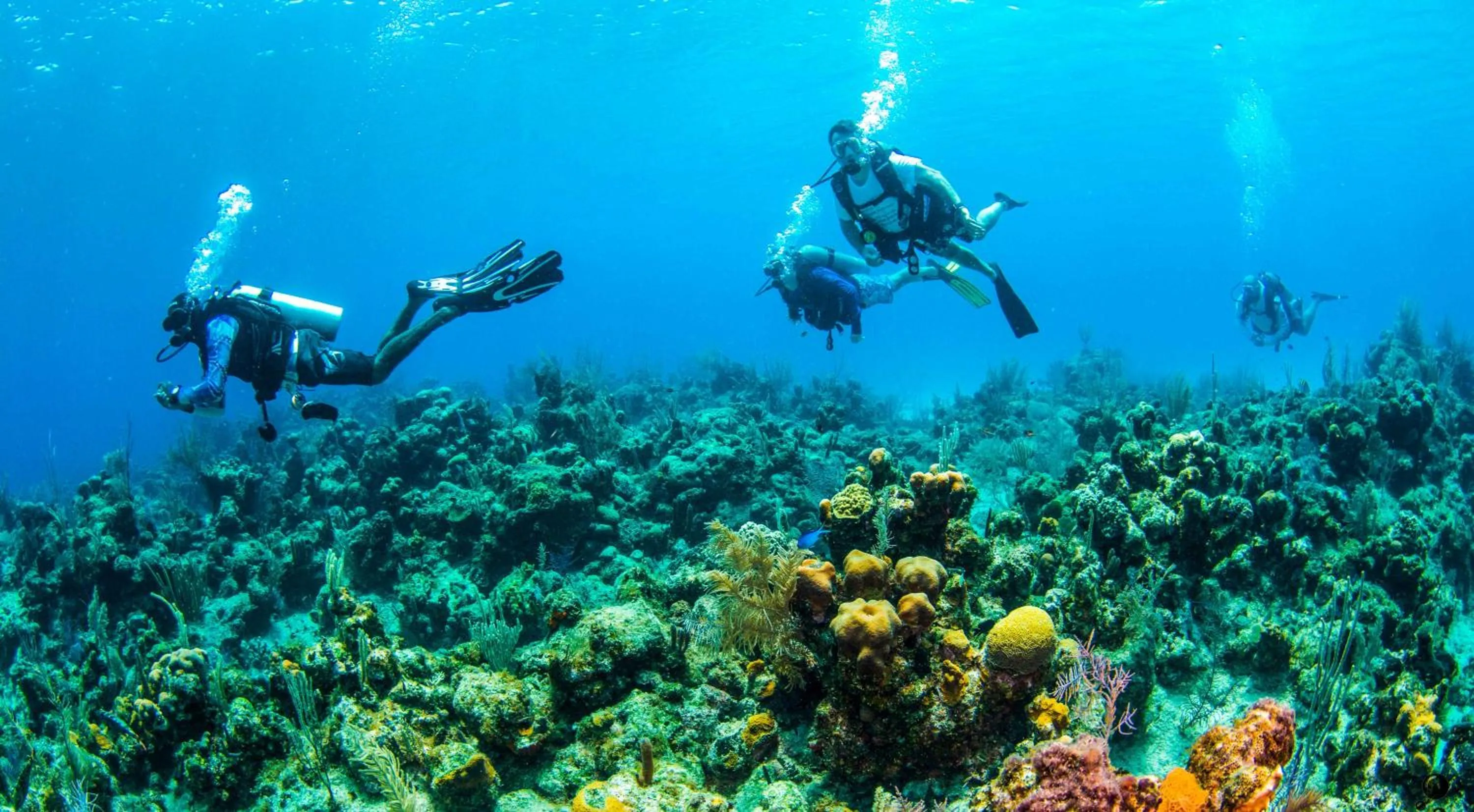 Snorkeling in Blue Roatan Resort