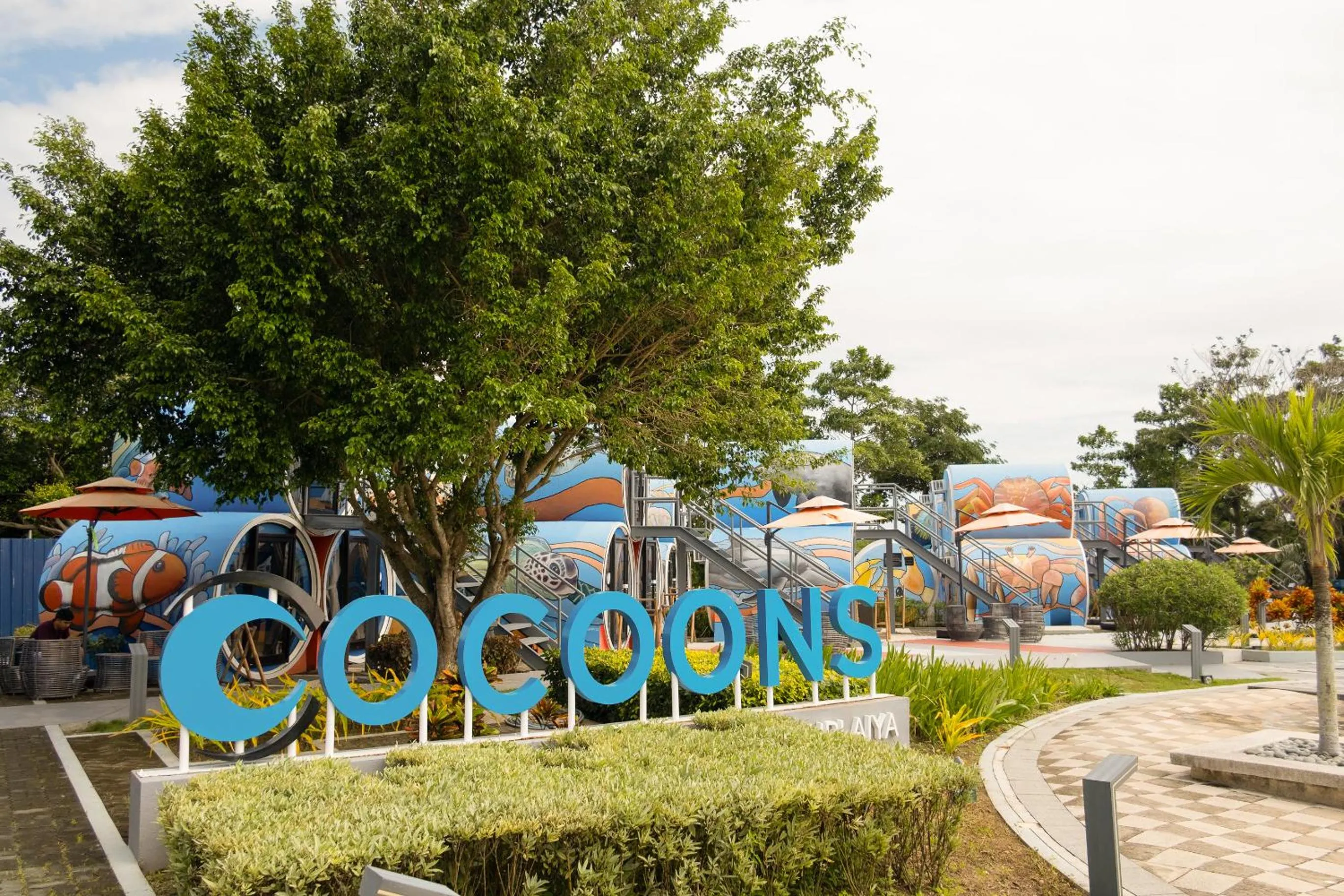 Day in Cocoons Club Laiya