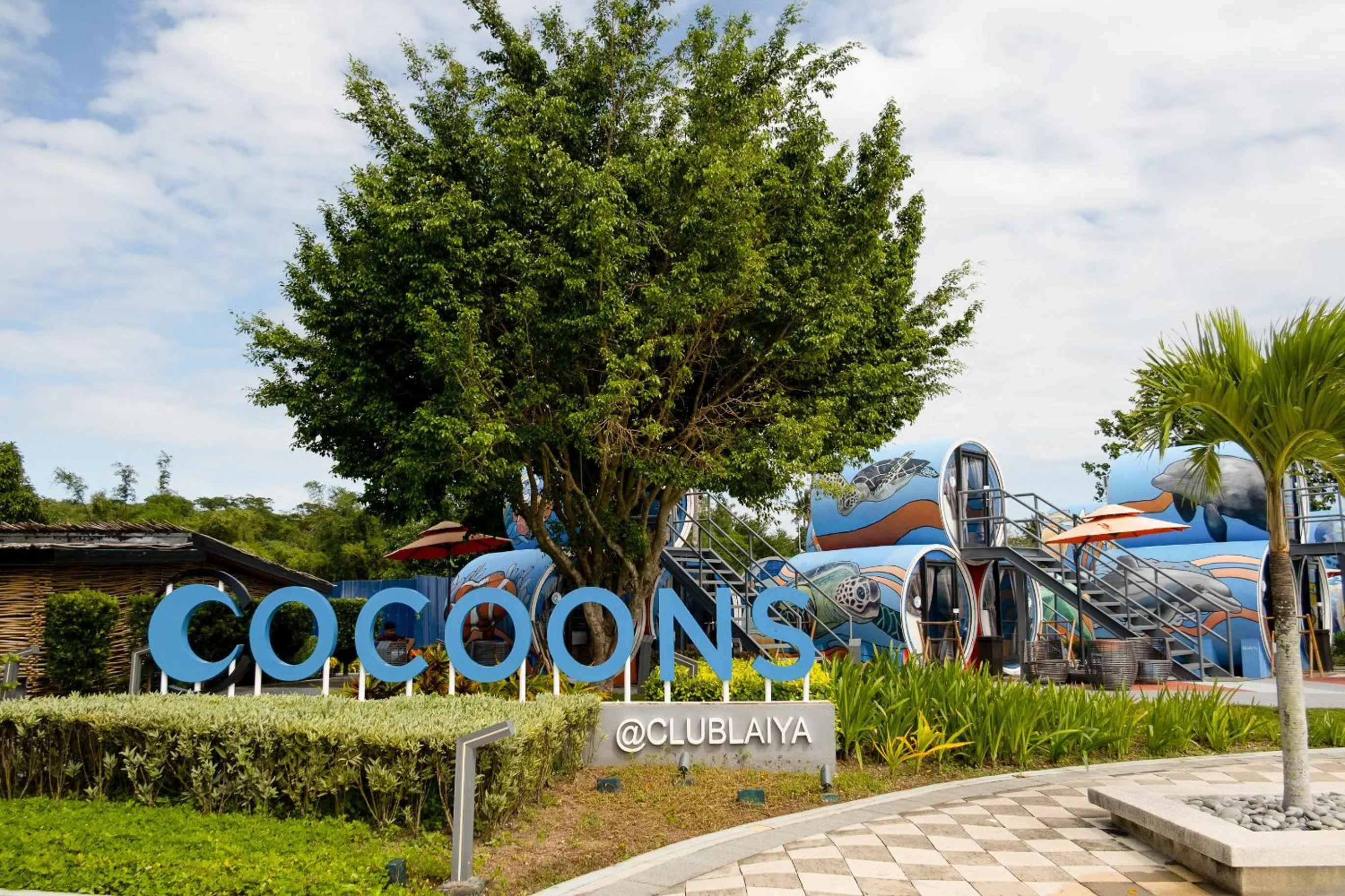 Day in Cocoons Club Laiya