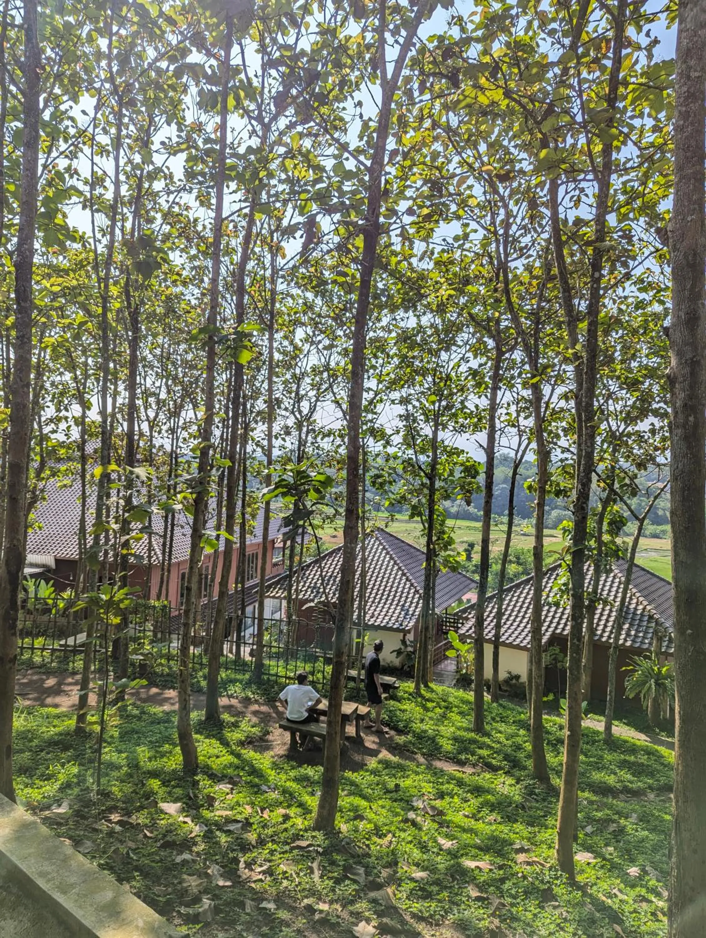 Garden view in Kasuari Exotic Resort Magelang