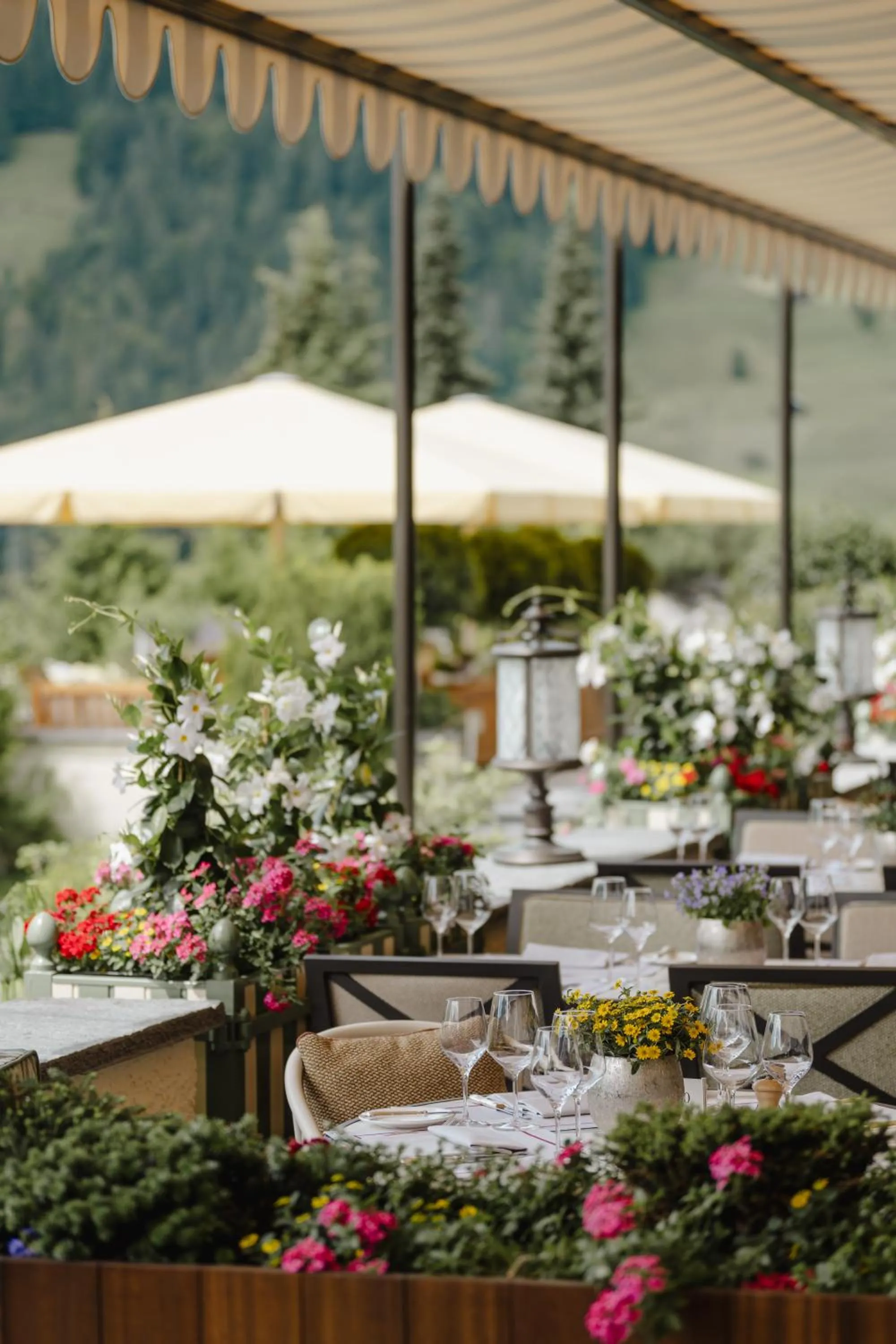 Restaurant/places to eat in Gstaad Palace