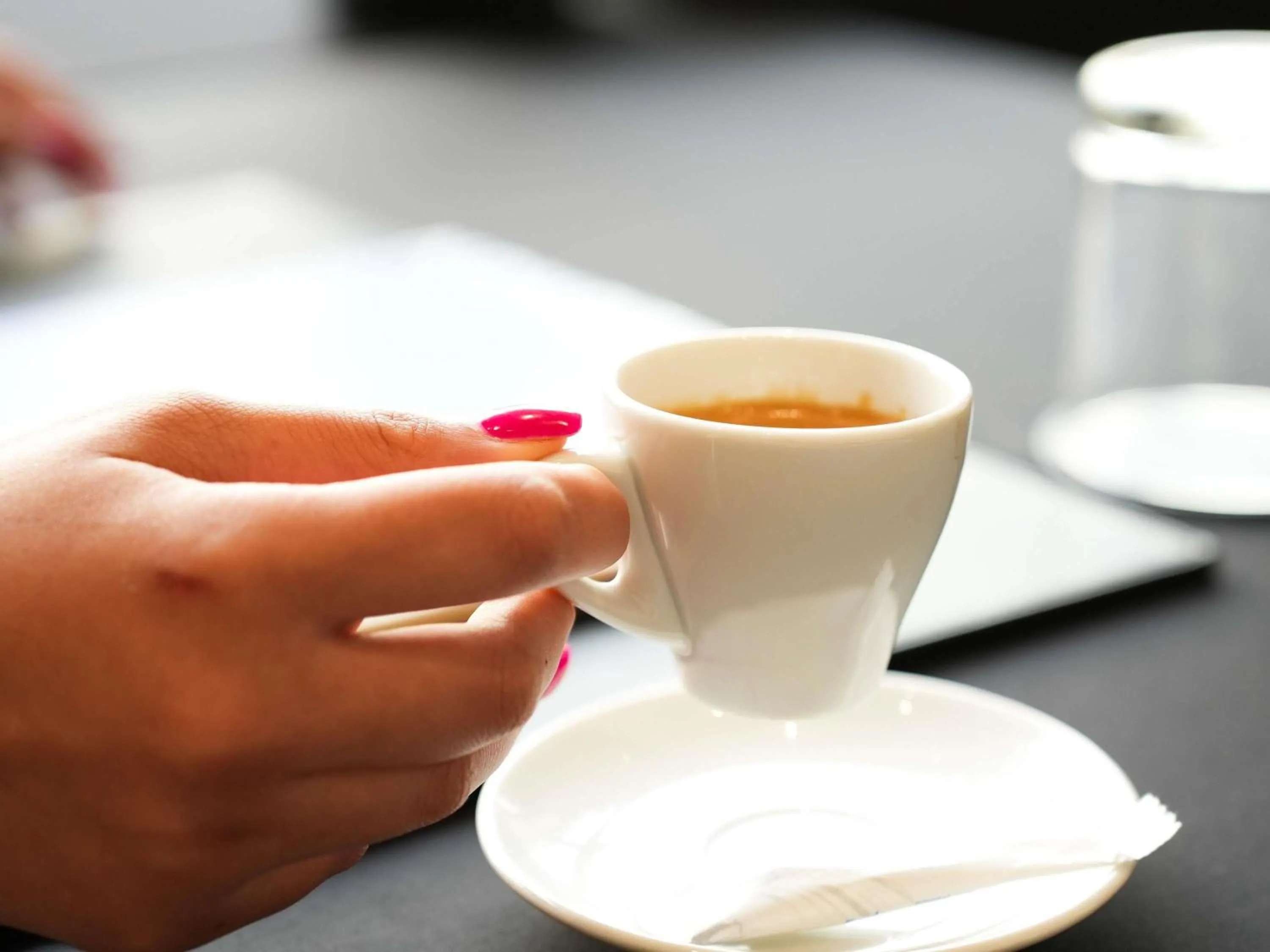 Meeting/conference room in Novotel Tunis Lac