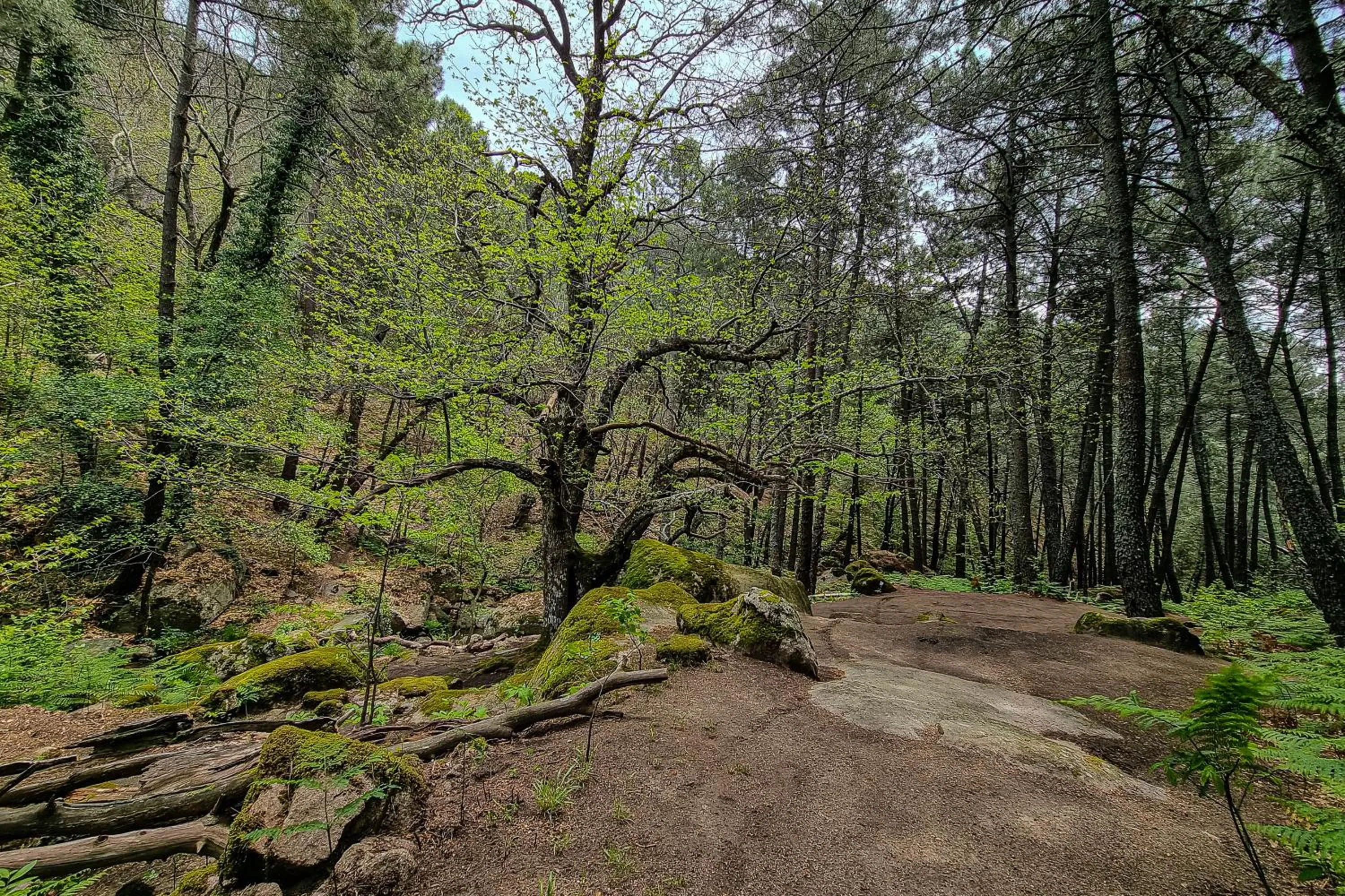 Natural landscape in Eras del Poeta