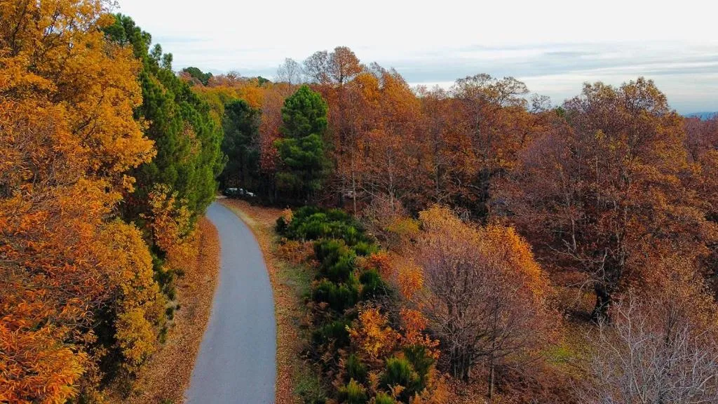 Natural landscape in Eras del Poeta