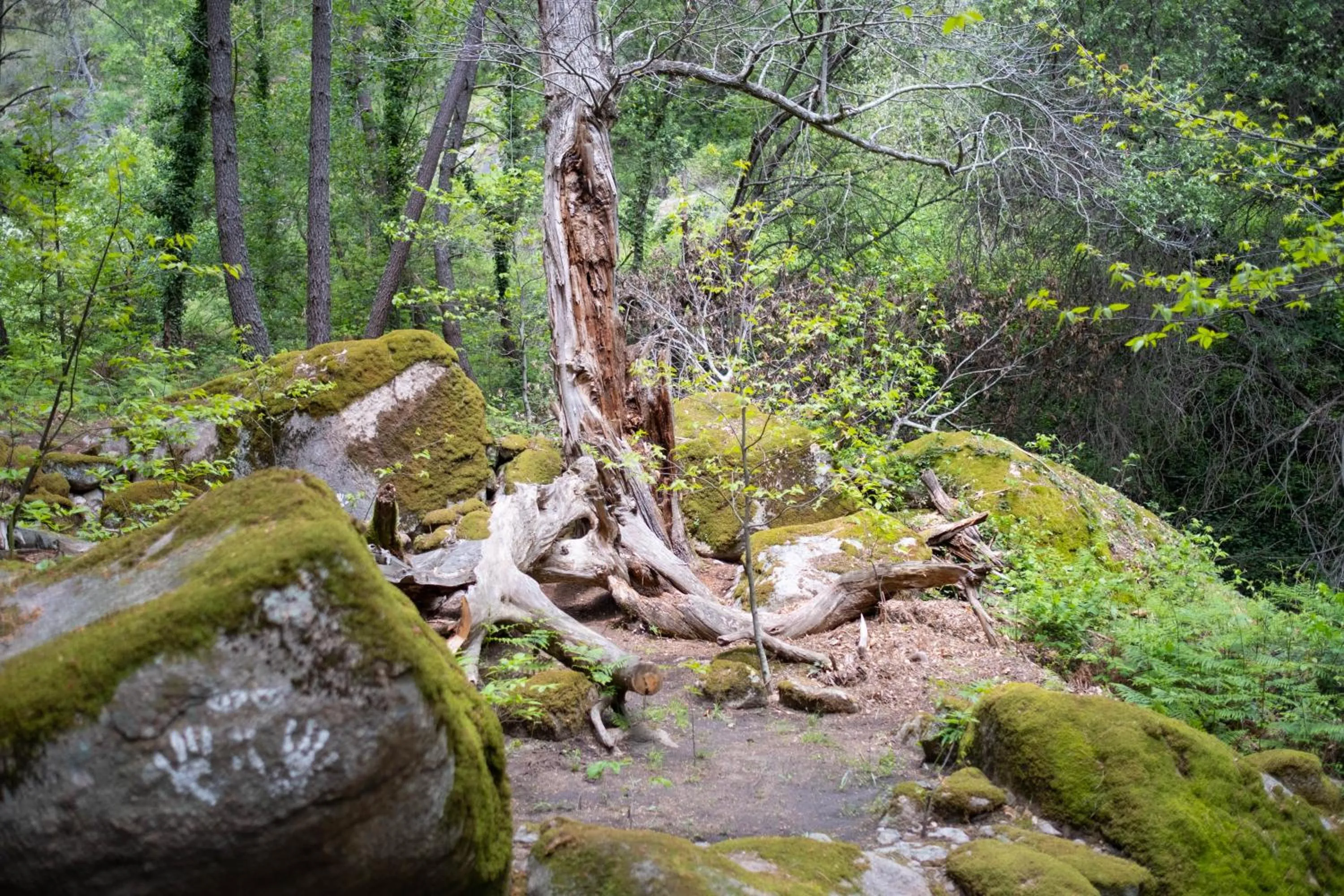 Natural landscape in Eras del Poeta