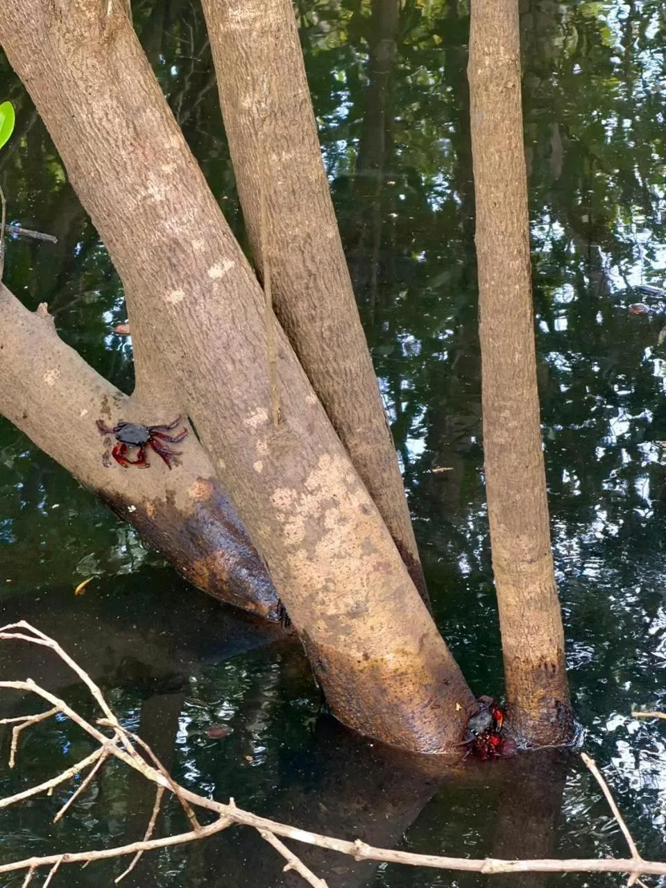 Beach in Pousada Oásis