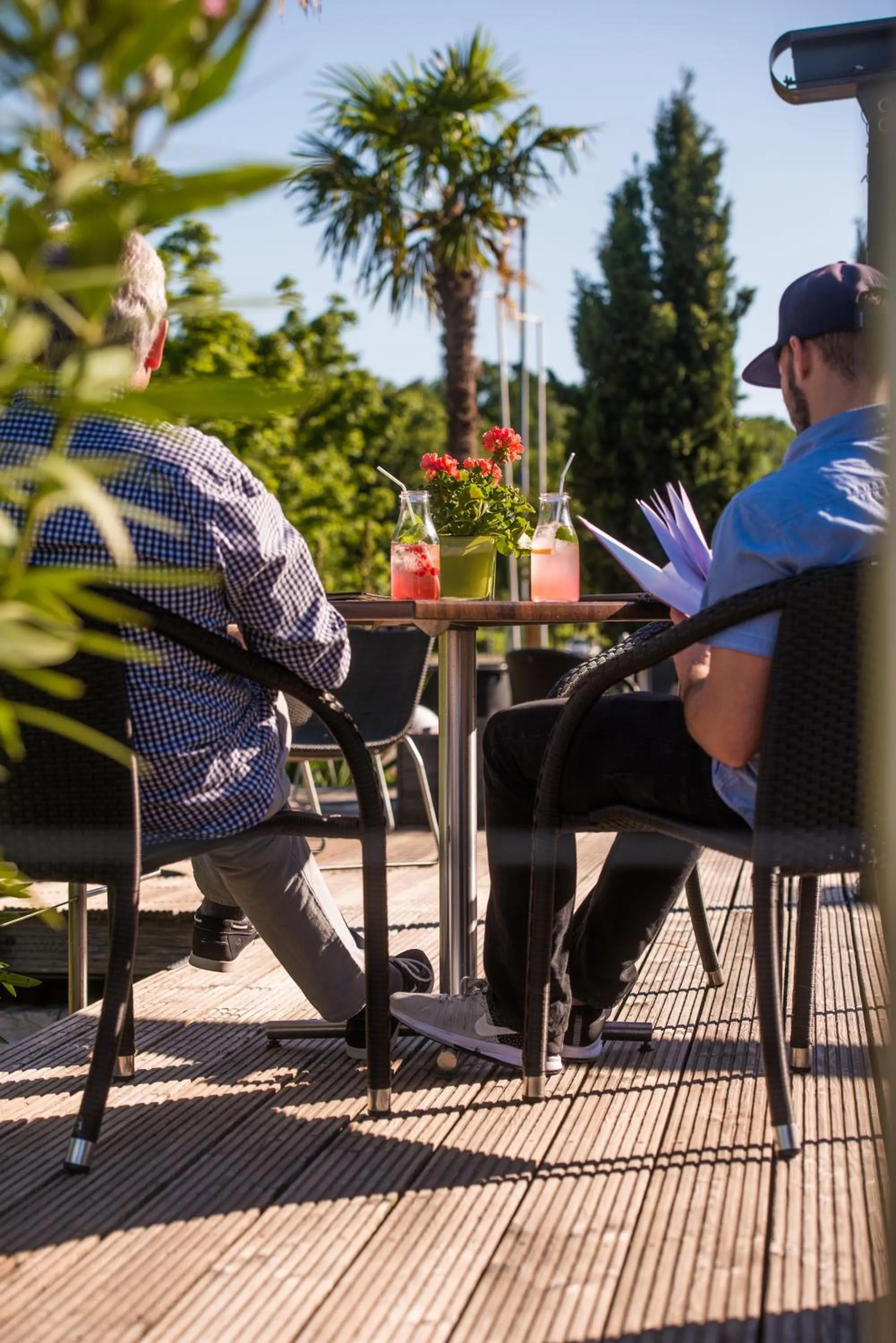 Garden in Hotel Volapük