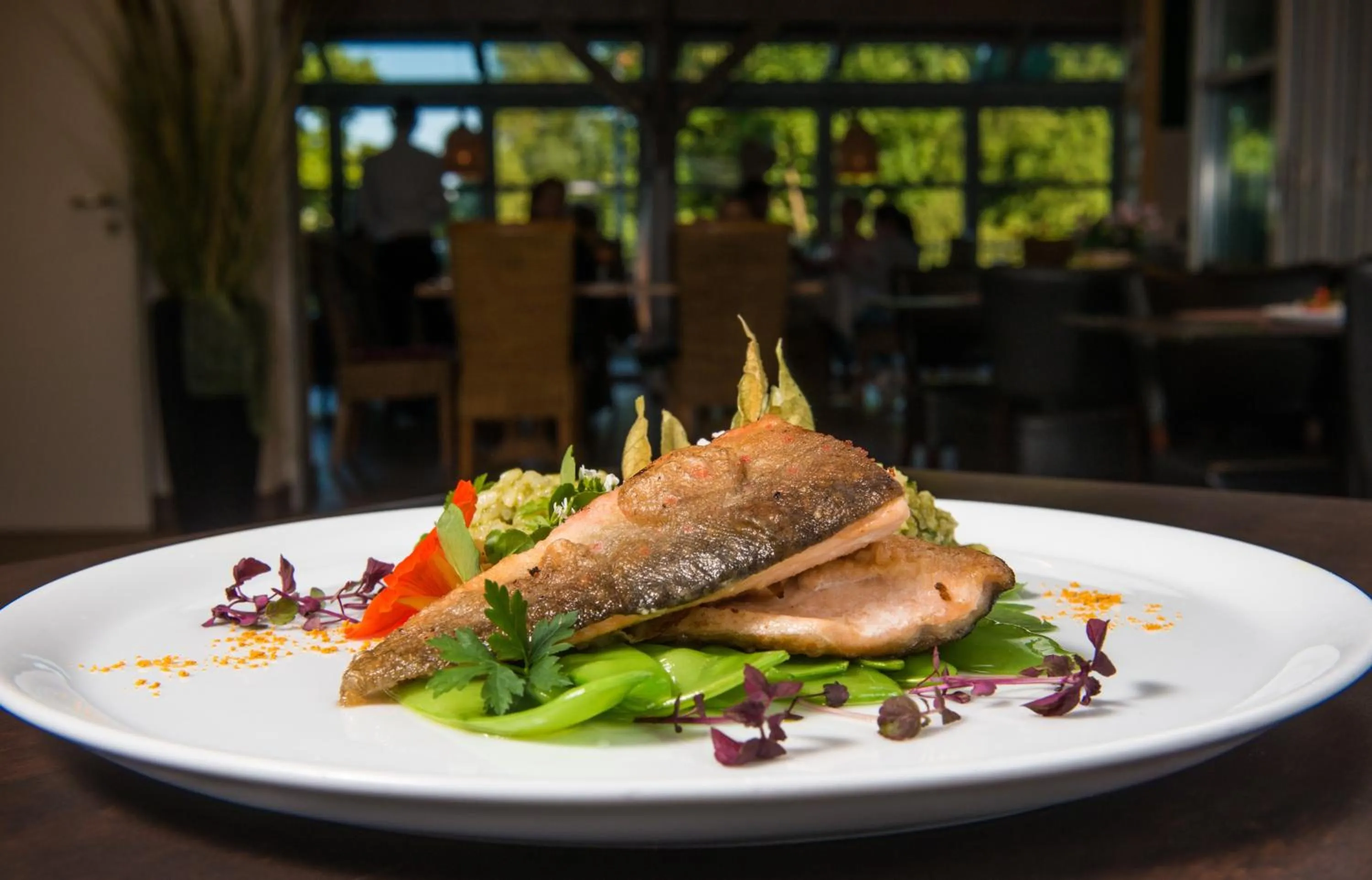 Food and drinks in Hotel Volapük