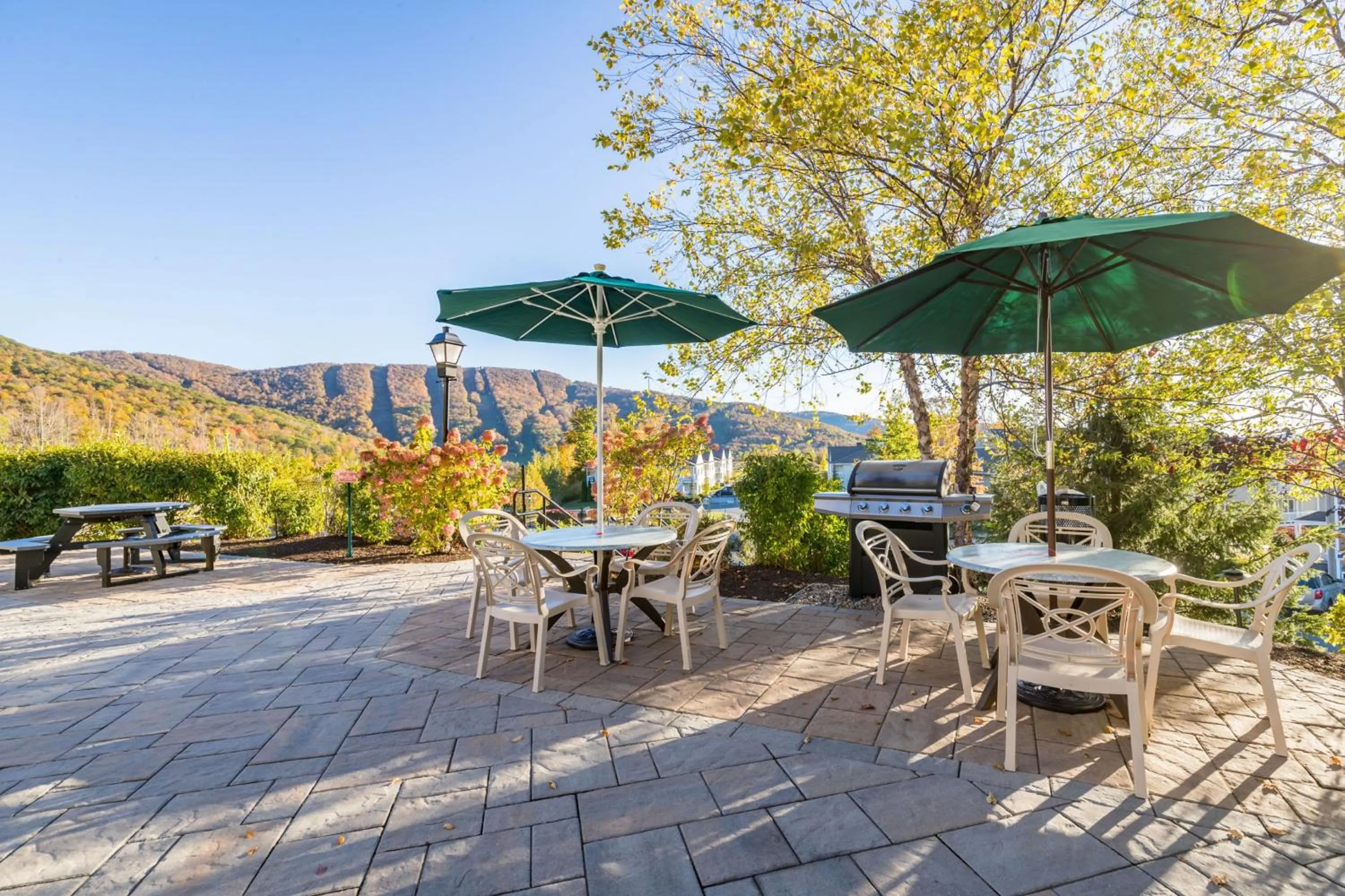 BBQ facilities in Vacation Village in the Berkshires