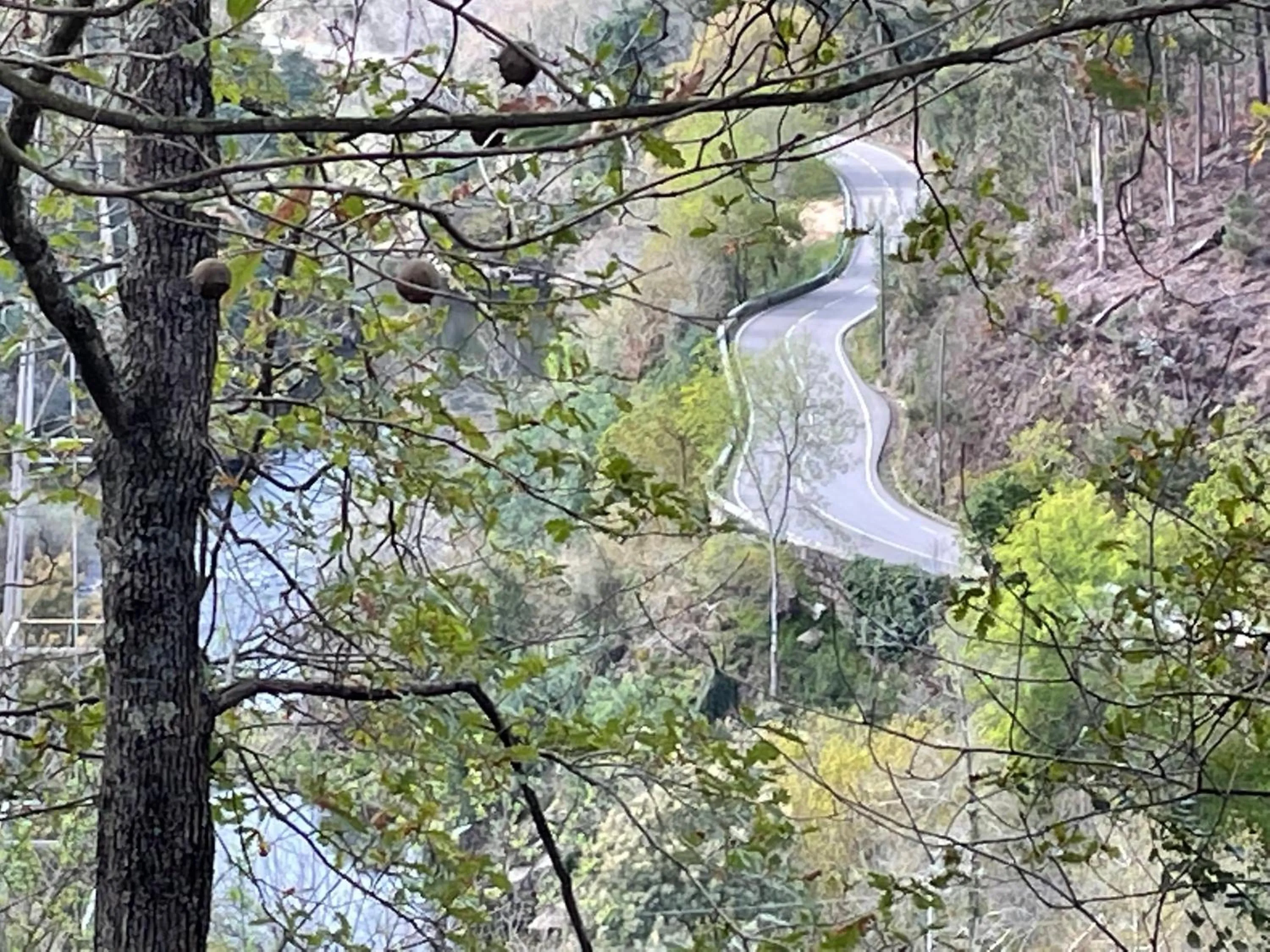 Natural landscape in Santiago Family House