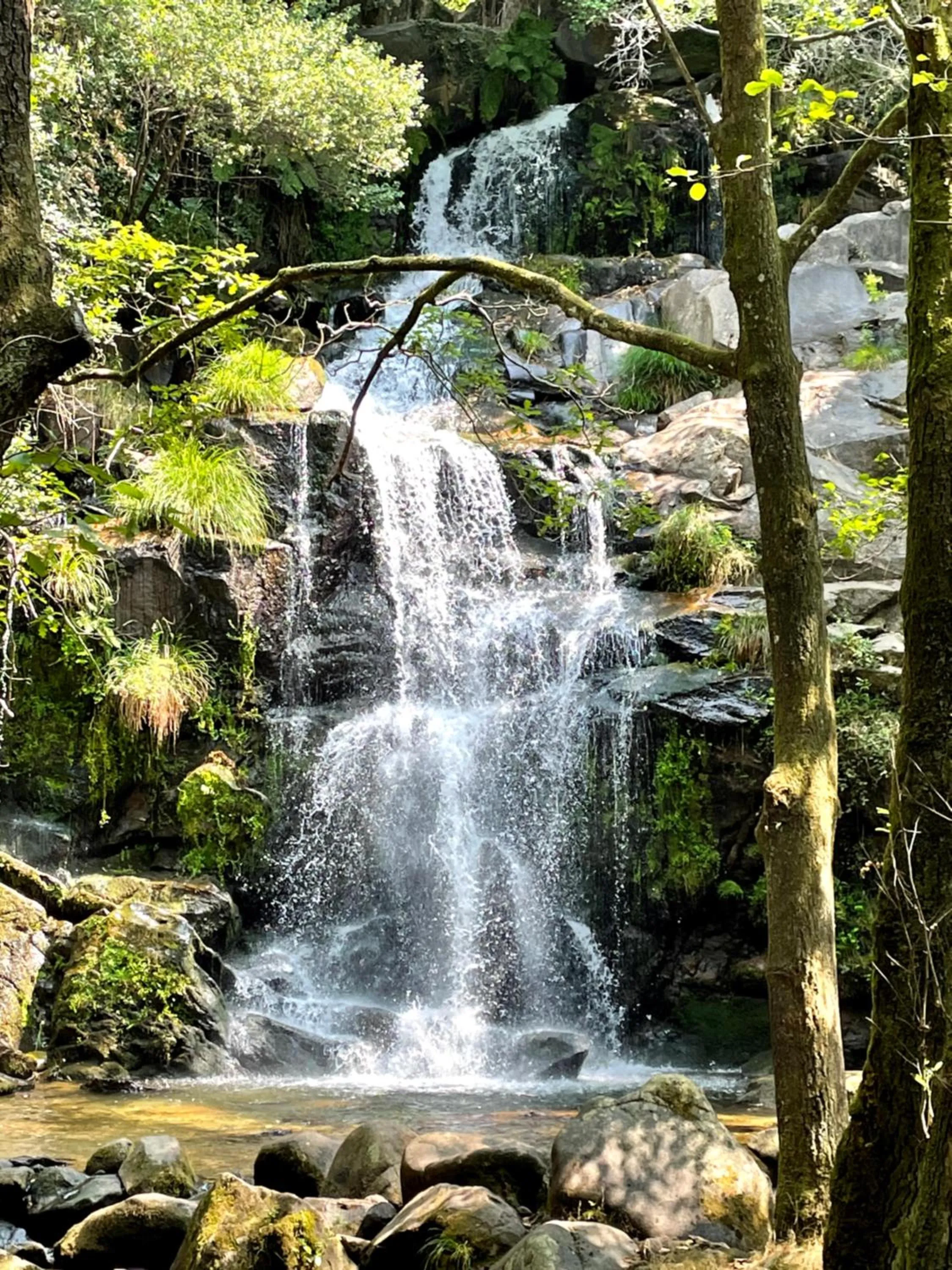 Nearby landmark in Santiago Family House