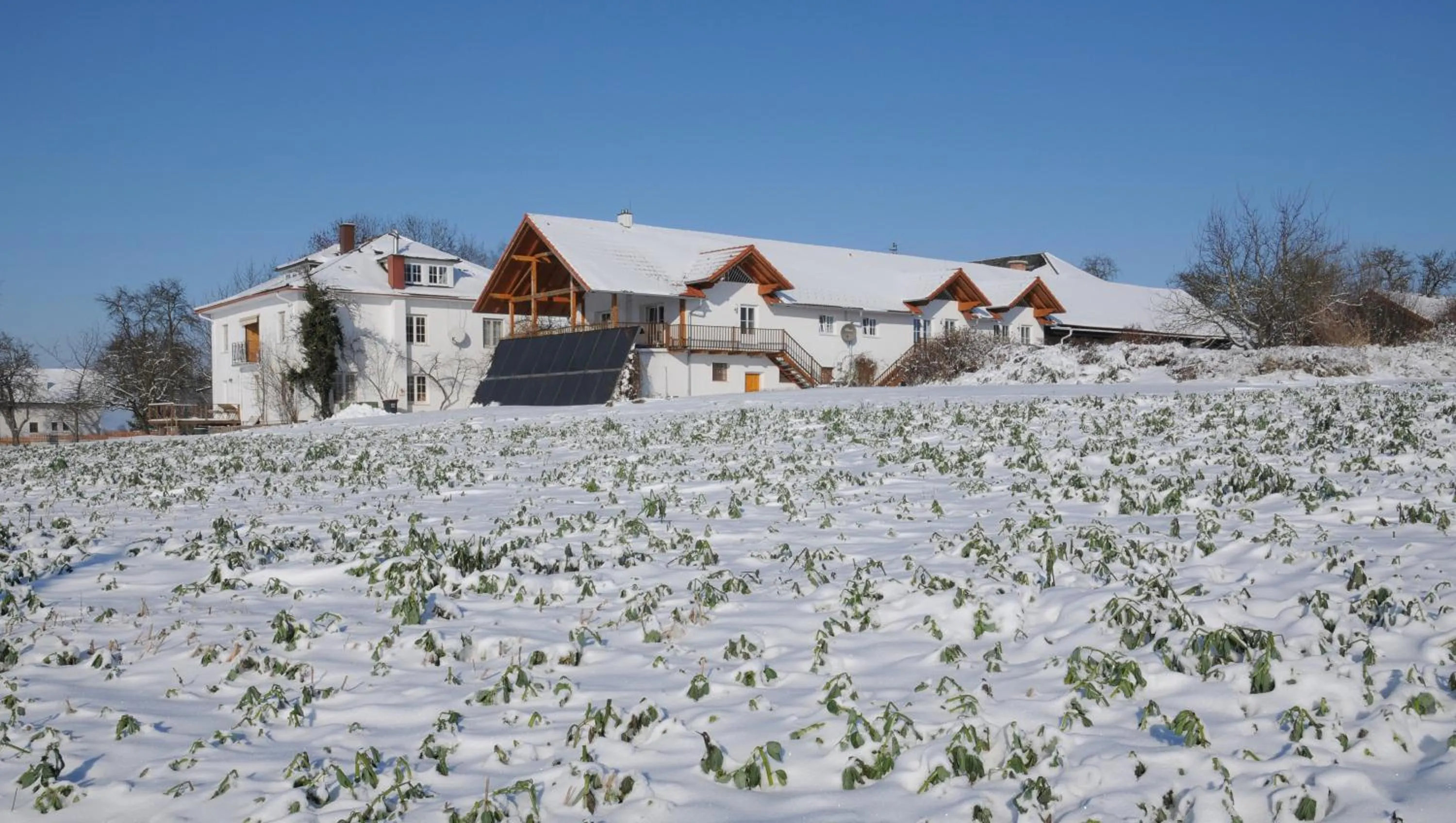 Facade/entrance in Geinberg Suites & Via Nova Lodges