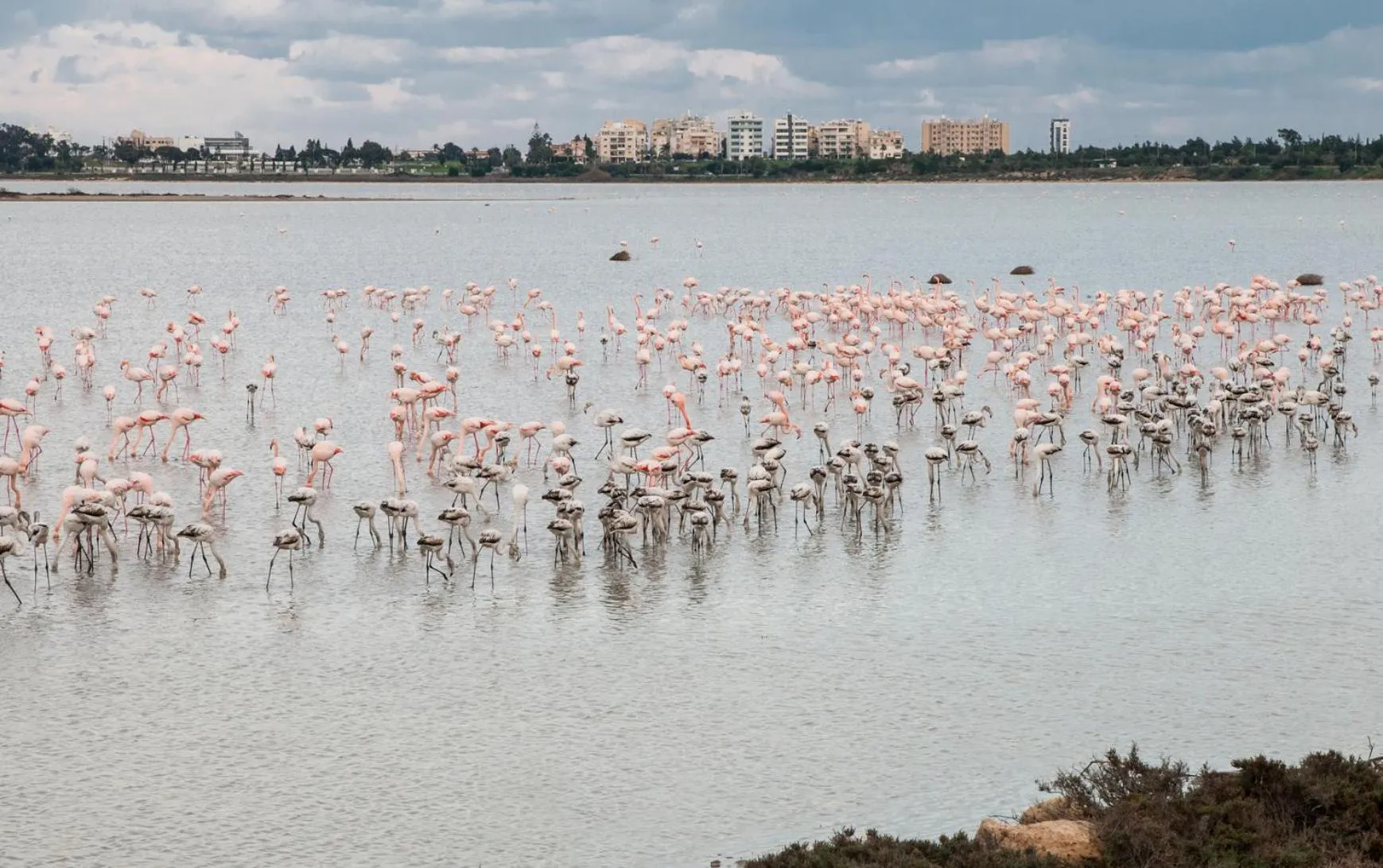 Other in Promenade Breeze City Apartment