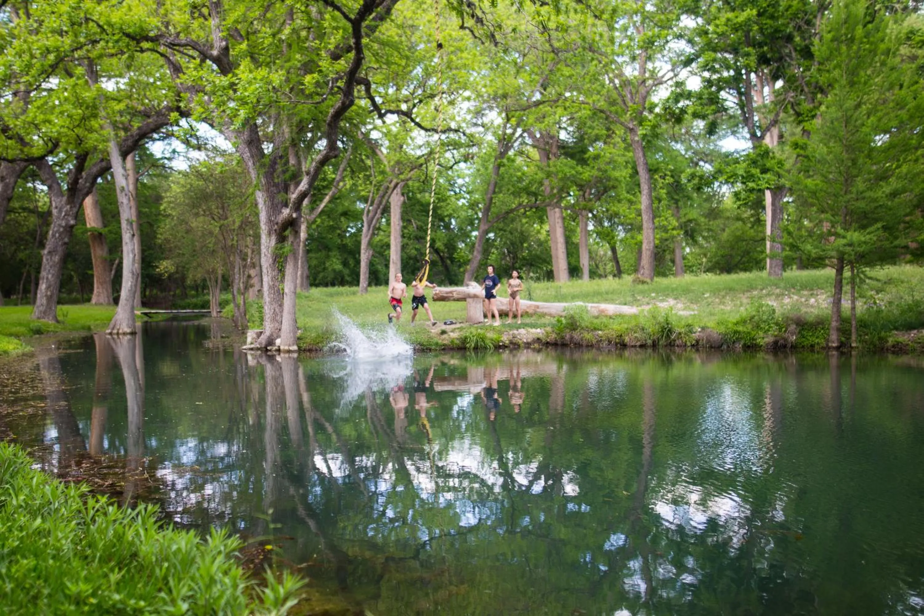 Natural landscape in The Springs Retreat