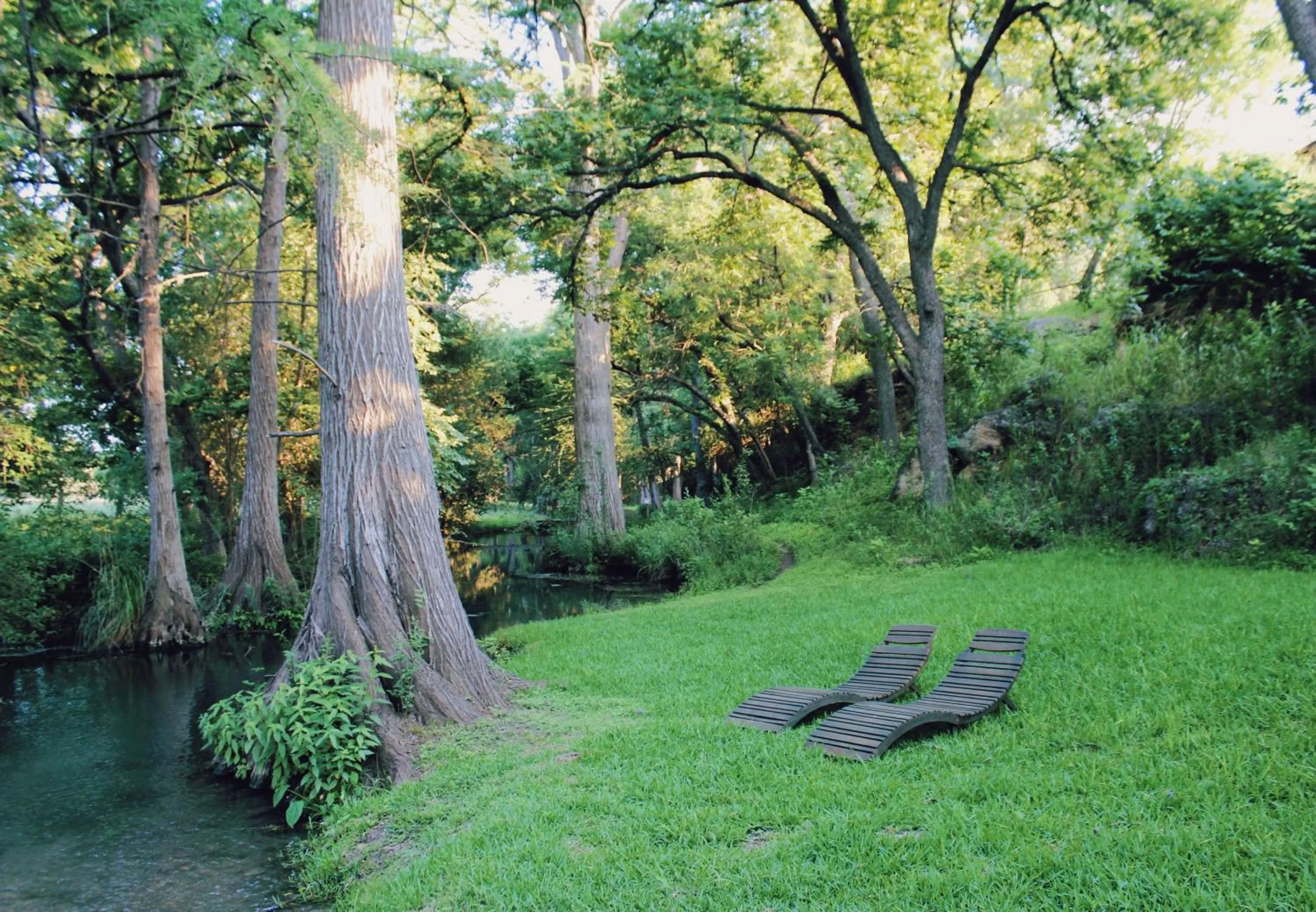 Spring in The Springs Retreat