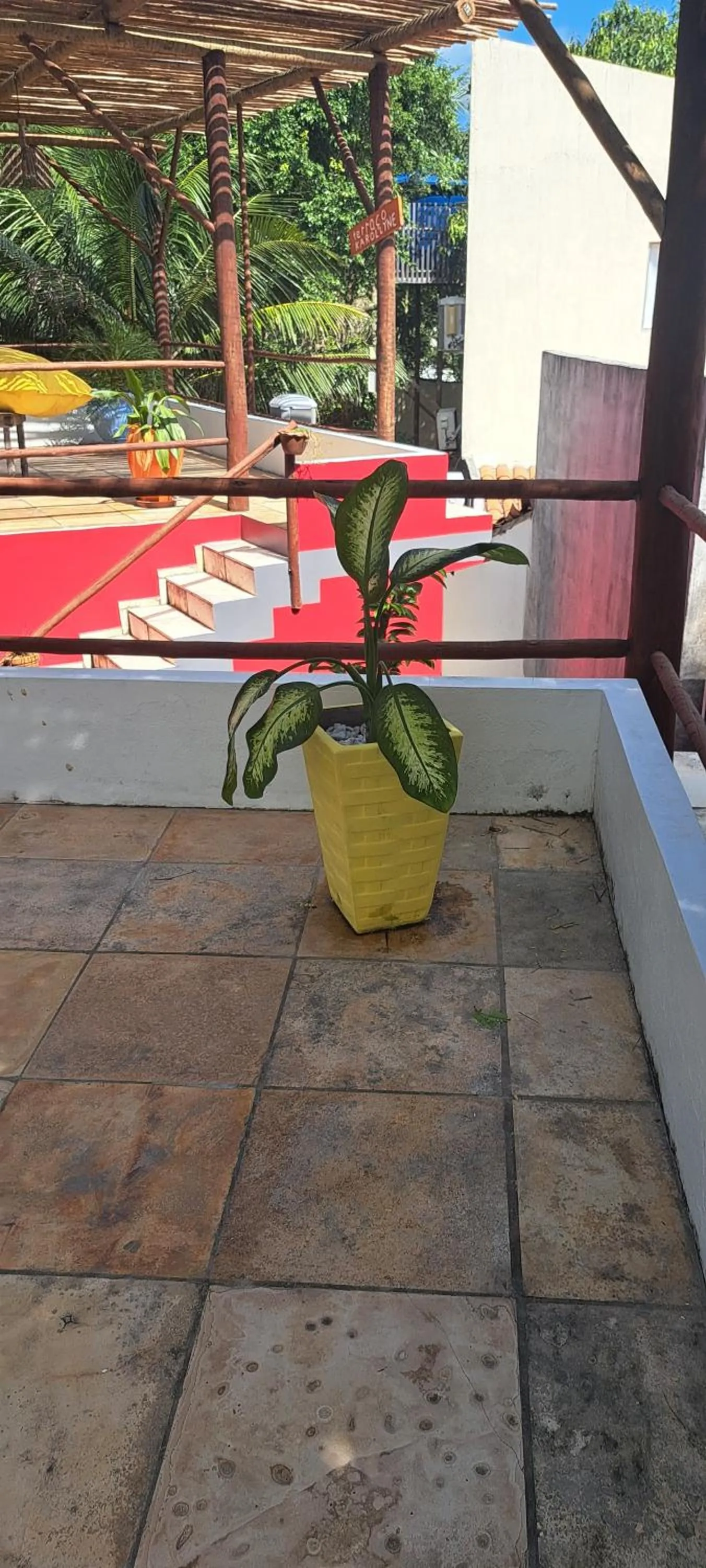 Garden in Pousada Lotus