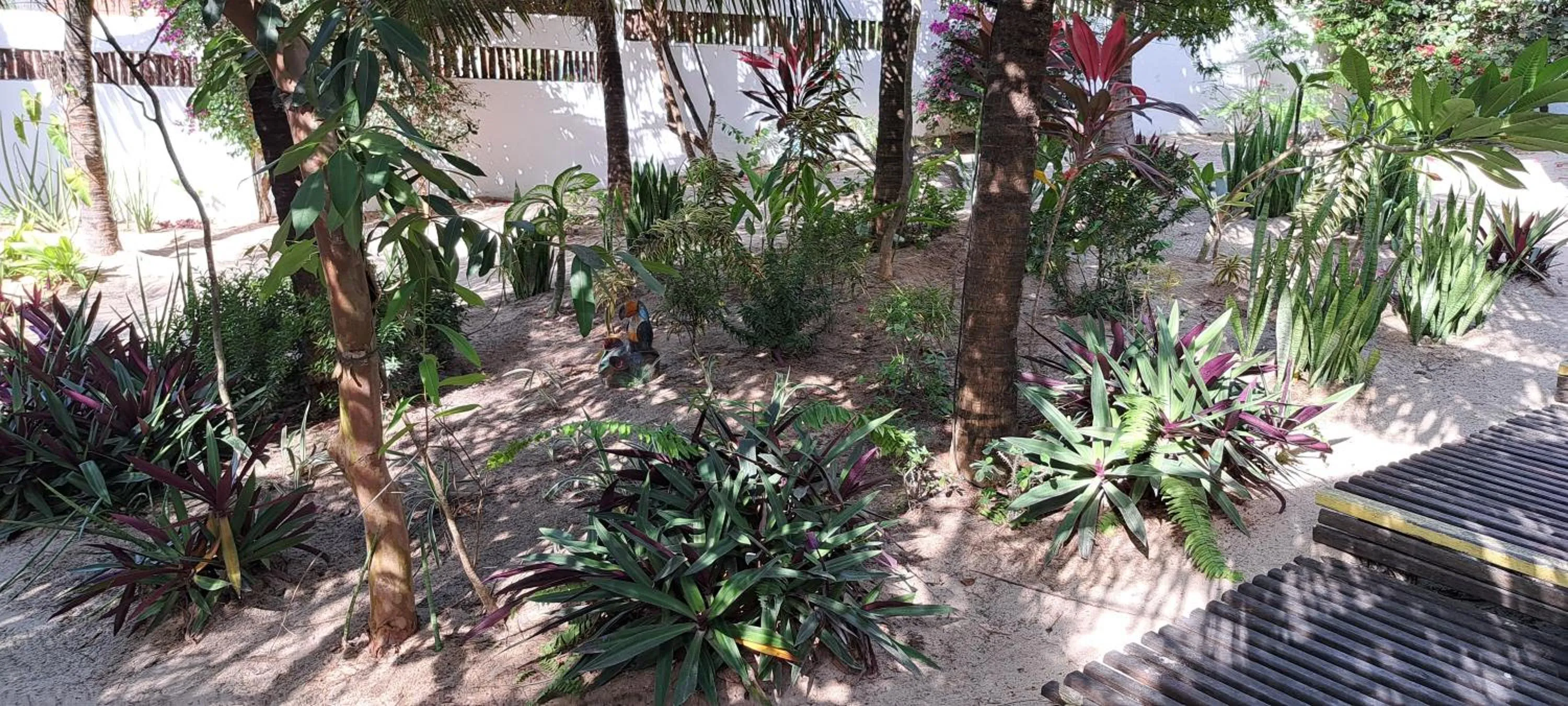 Garden in Pousada Lotus