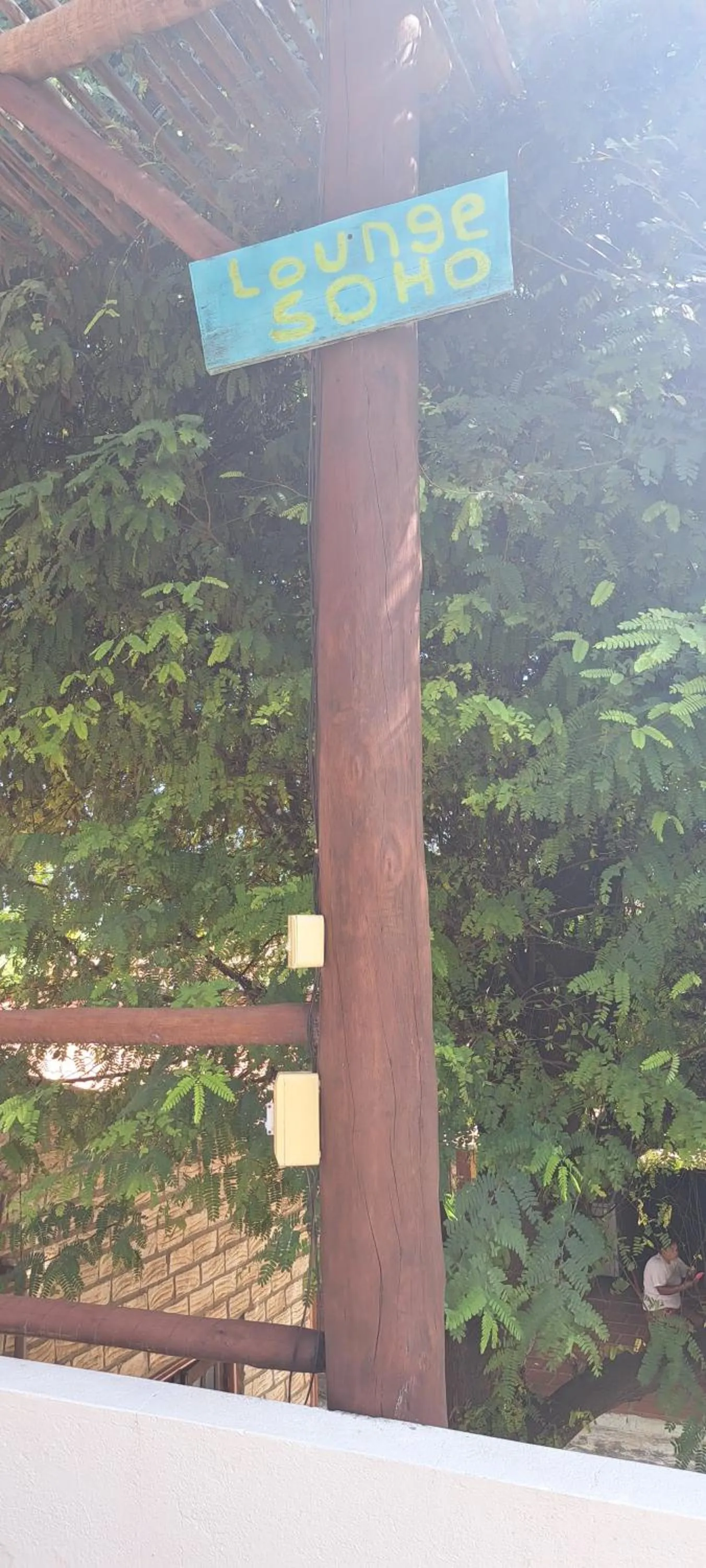 Garden in Pousada Lotus