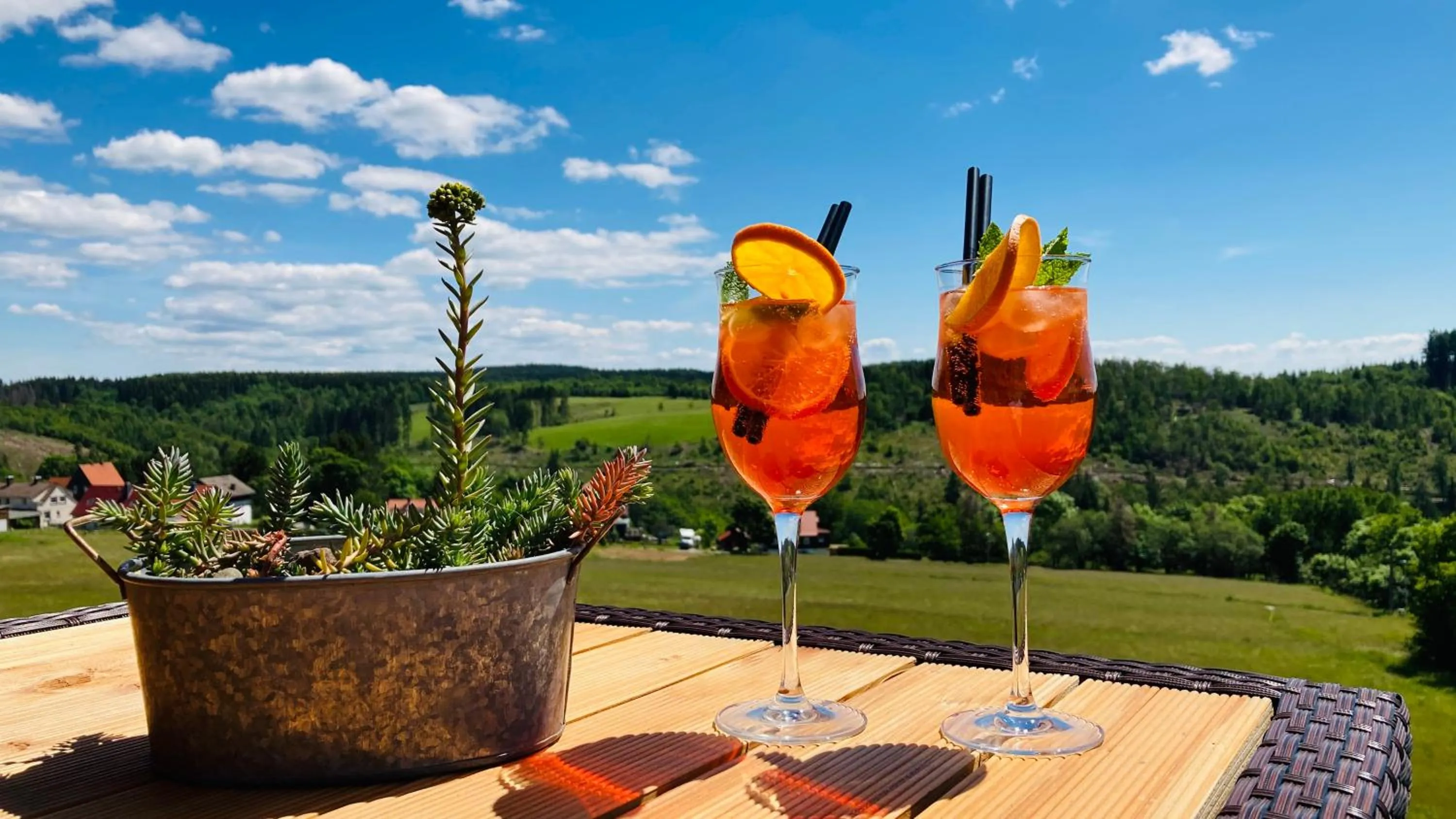 Balcony/Terrace in Harmonie Hotel Rust