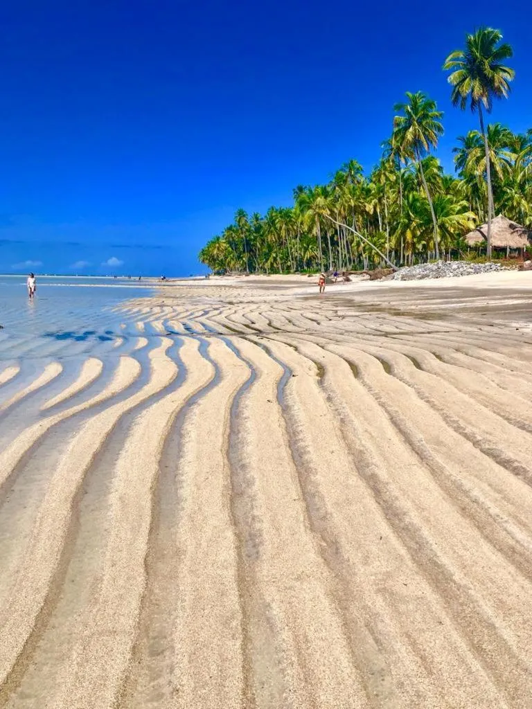Beach in Condomínio Praias de Maragogi & Casas Deluxe