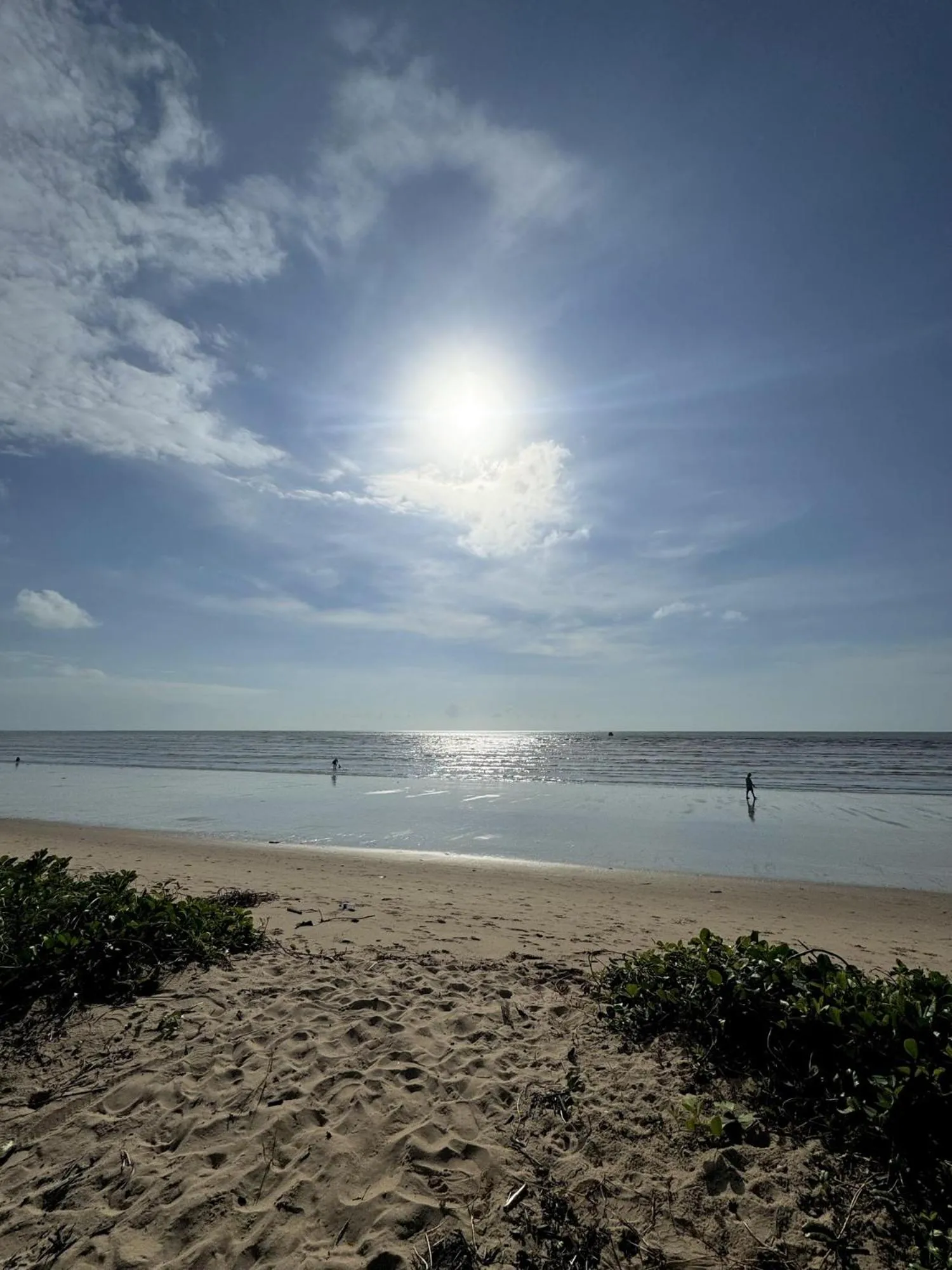 Beach in Condomínio Praias de Maragogi & Casas Deluxe