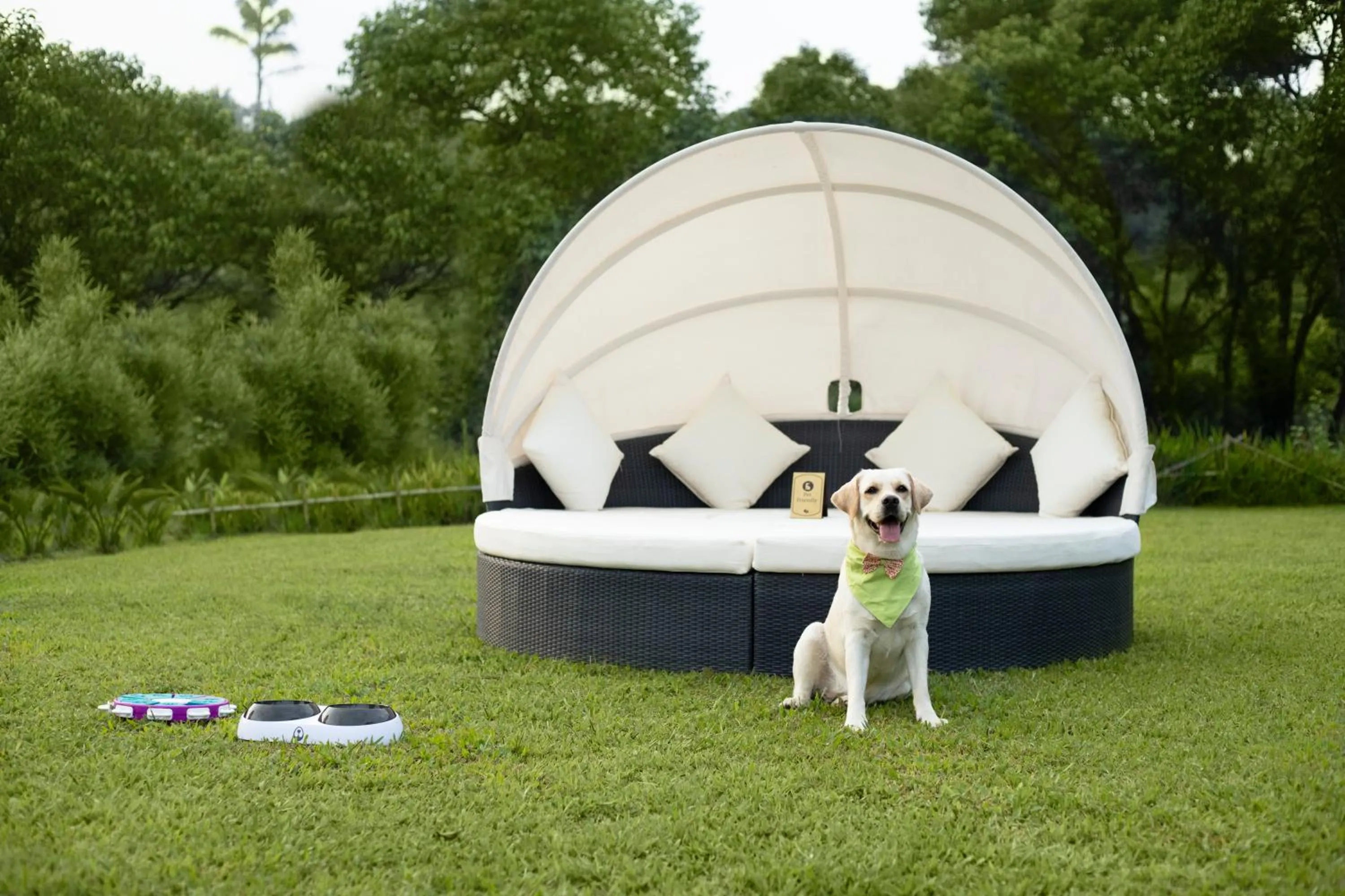 Pets in Aurika, Coorg Luxury by Lemon Tree Hotels