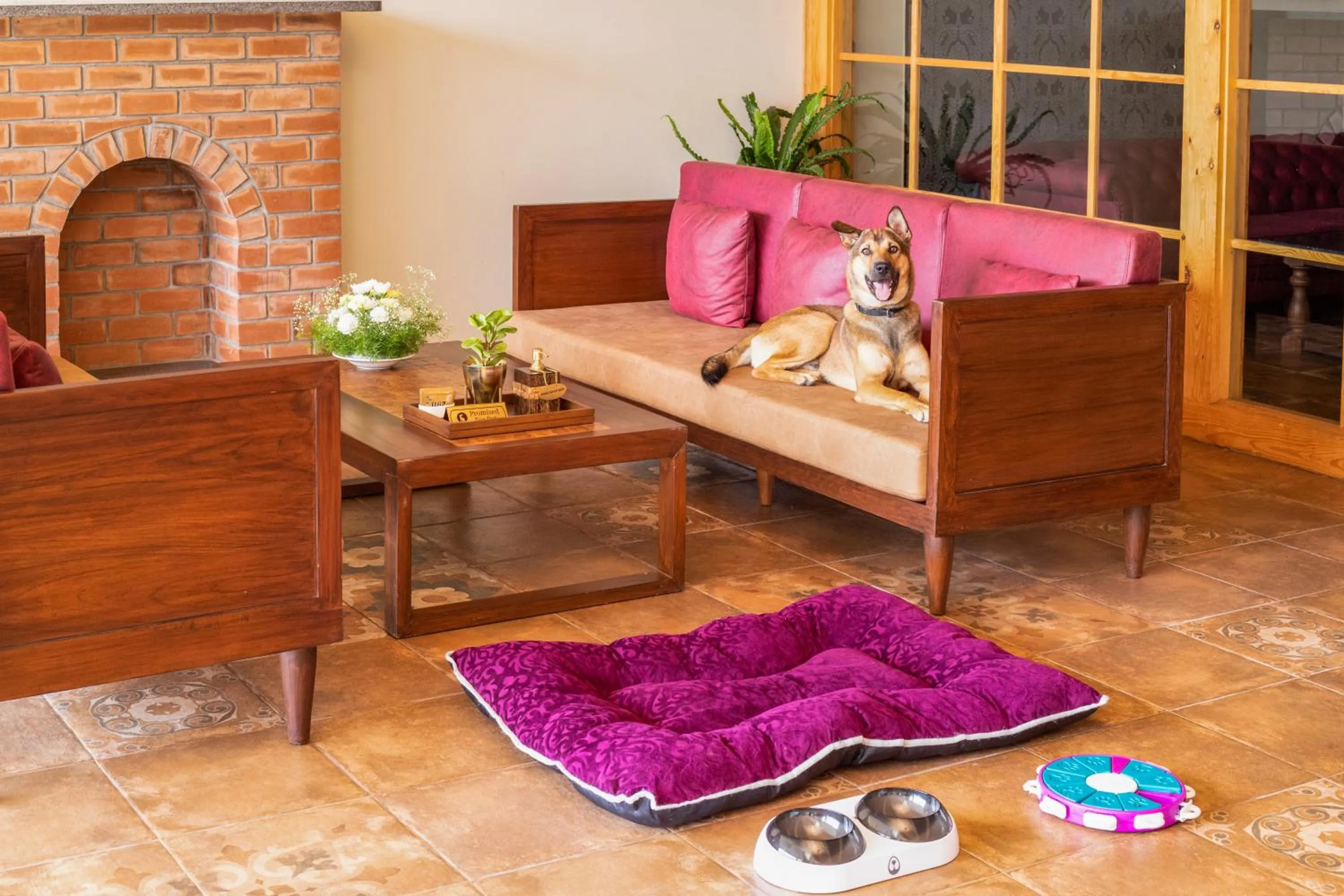 Pets in Aurika, Coorg Luxury by Lemon Tree Hotels