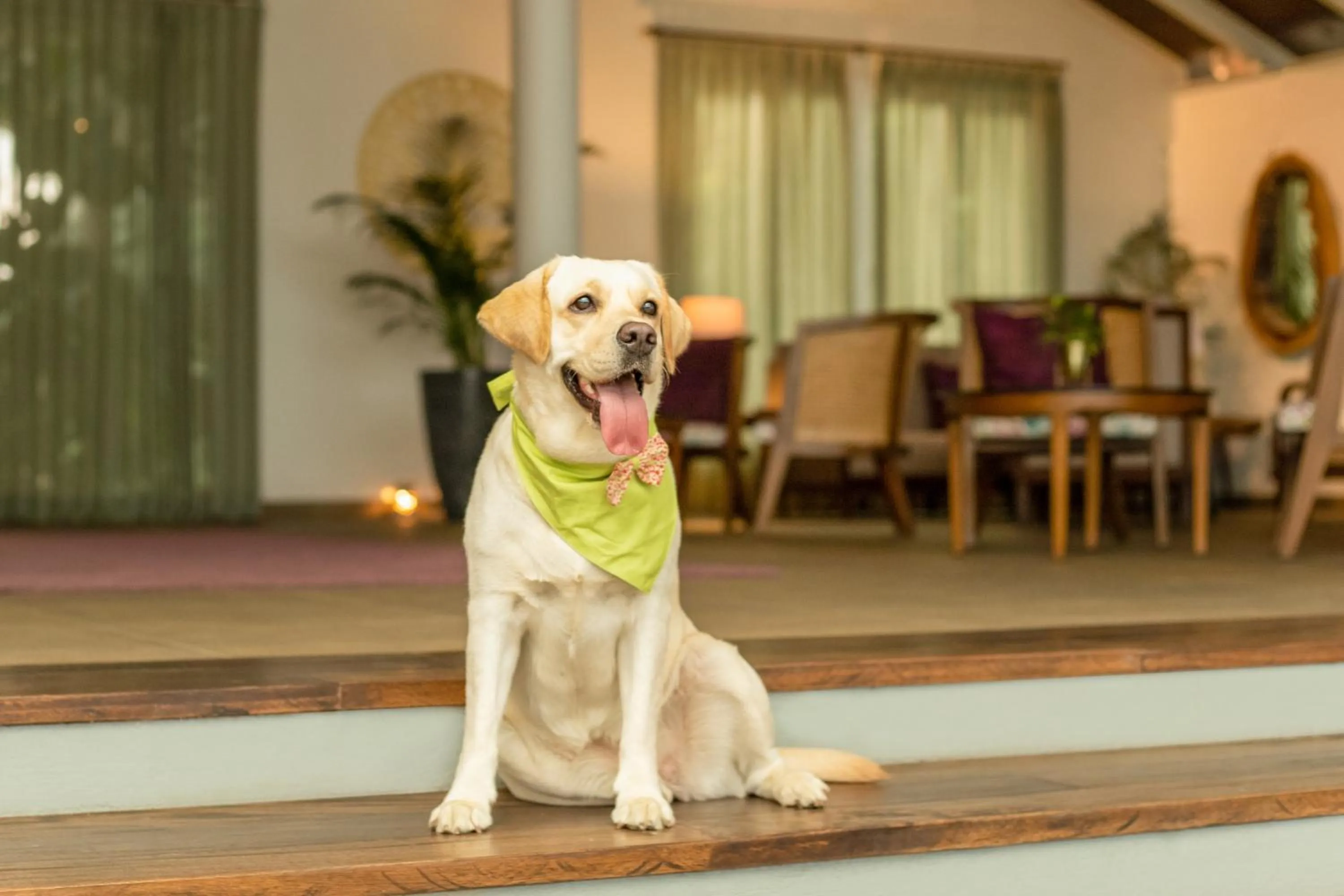 Pets in Aurika, Coorg Luxury by Lemon Tree Hotels