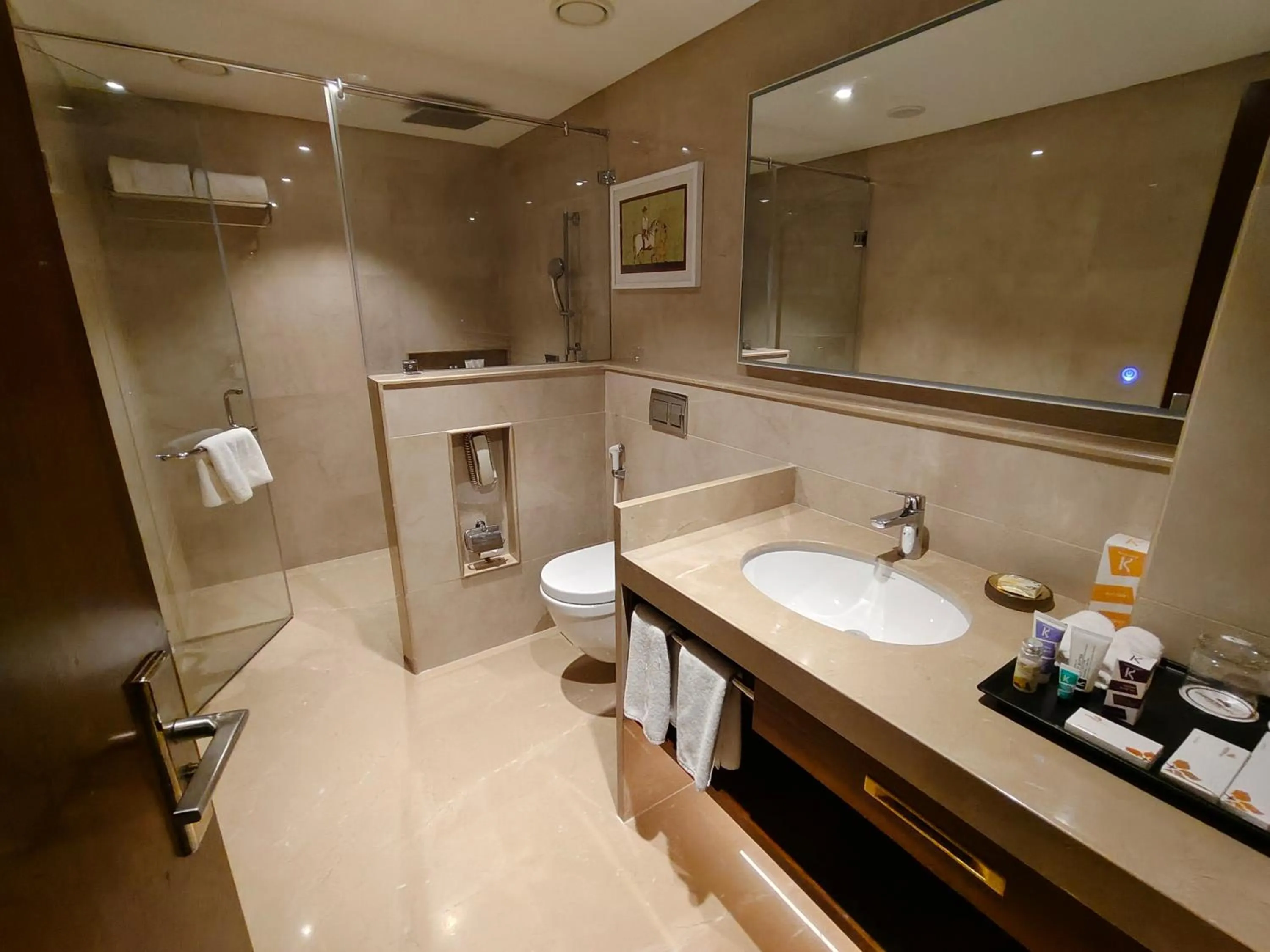 Bathroom in Pride Hotel Udaipur