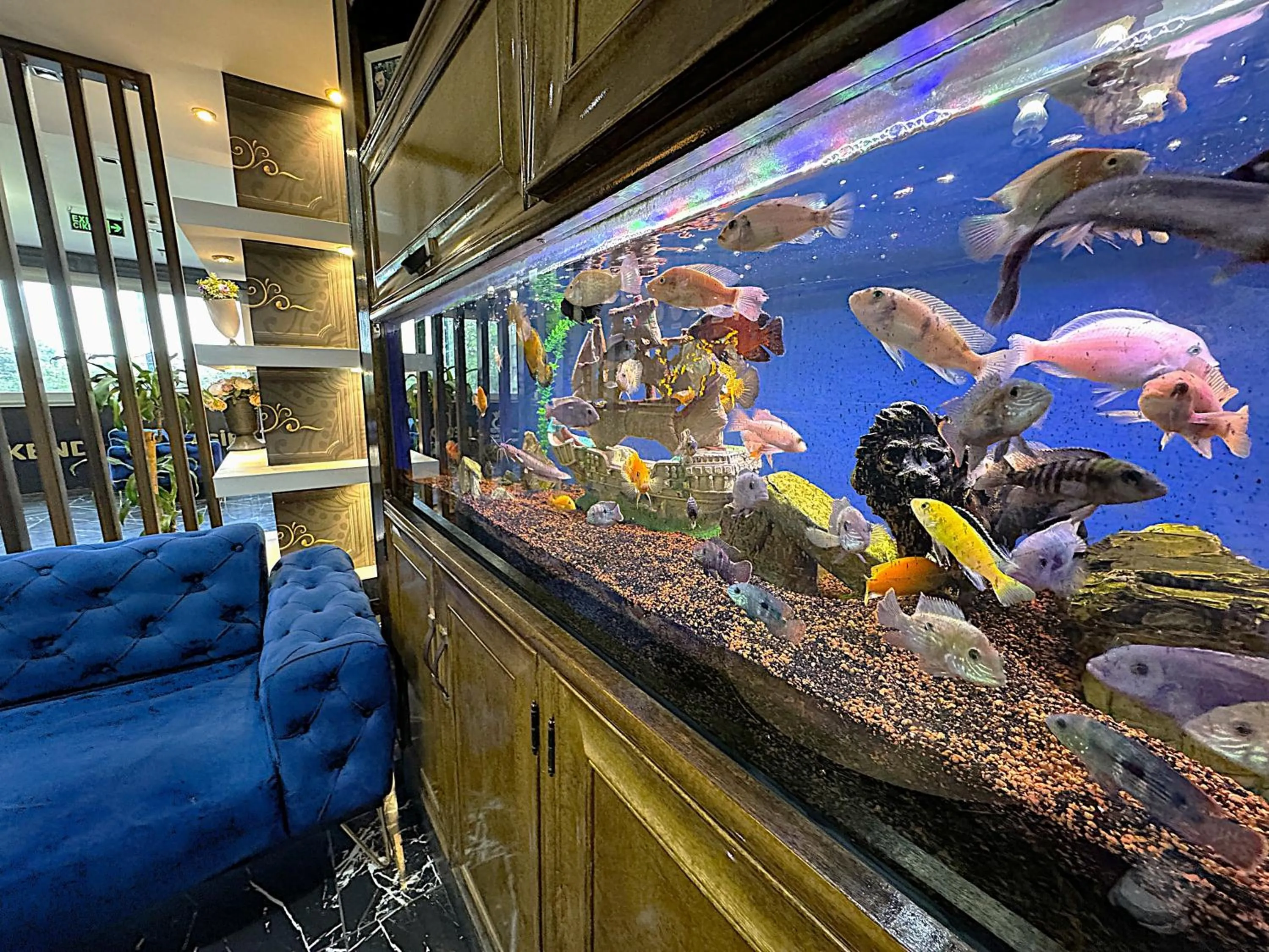 Lobby or reception in Grand Lara Hotel & Apartments