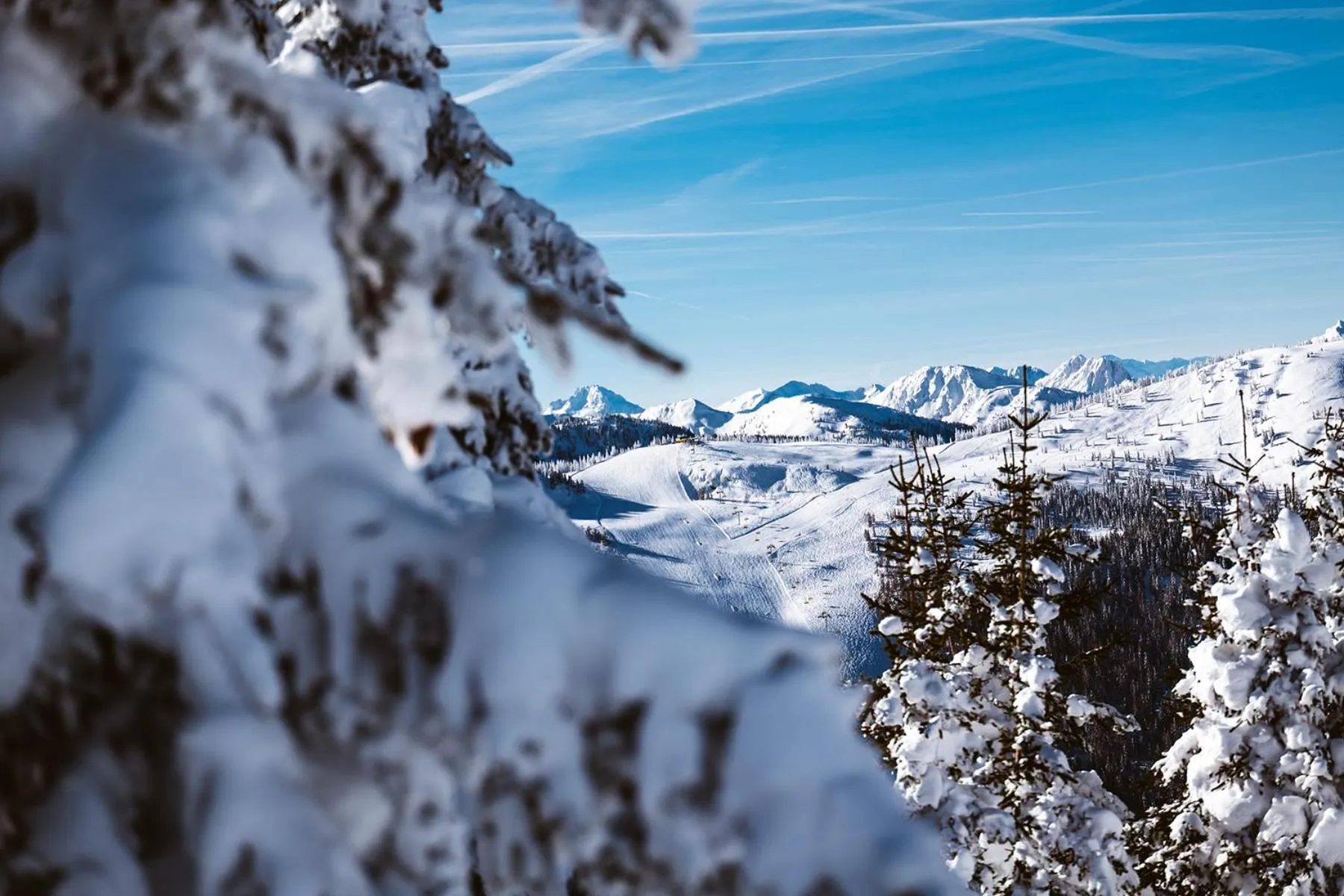 Natural landscape in B&B Hotel Die Barbara