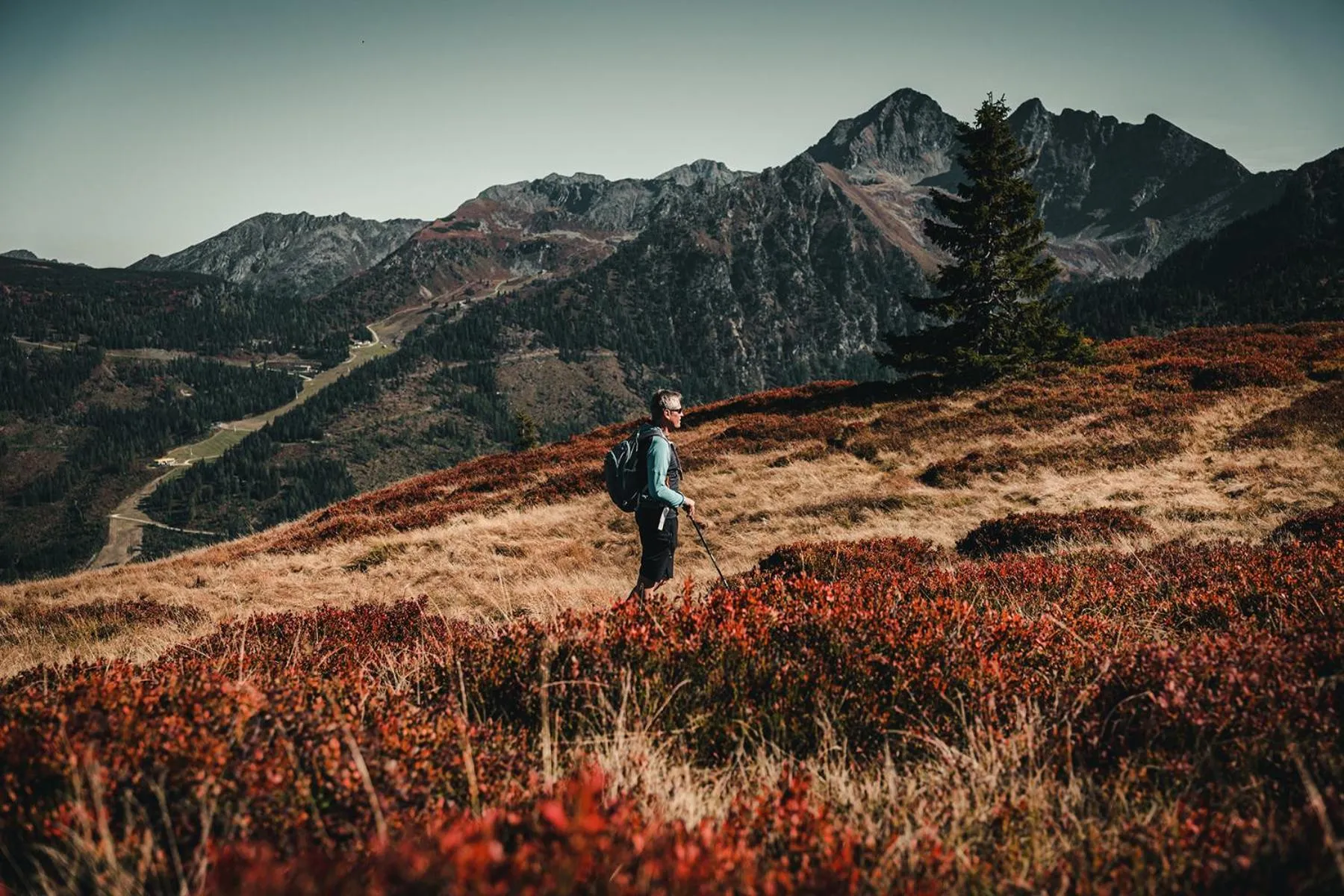 Natural landscape in B&B Hotel Die Barbara