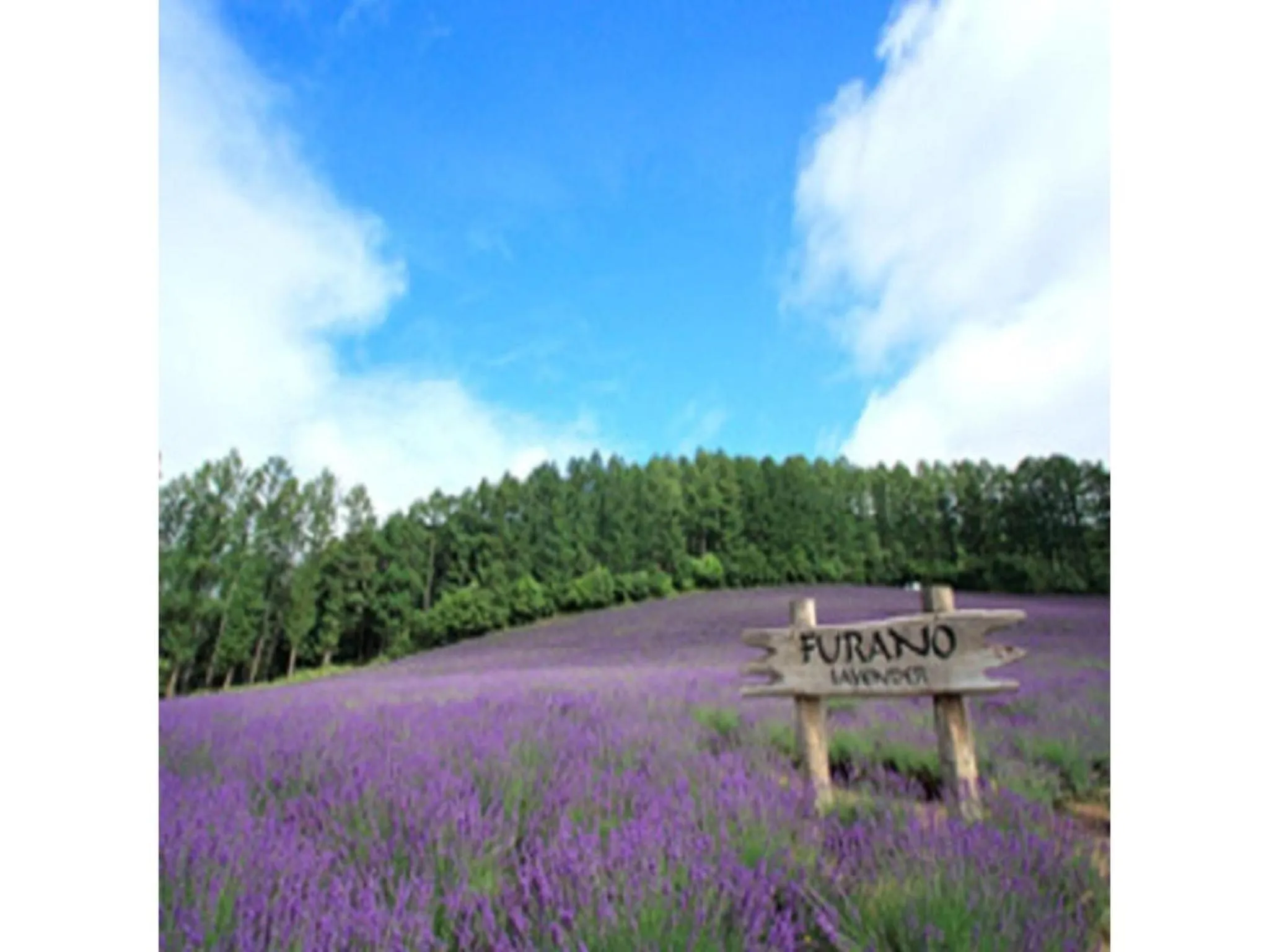 Y's Hotel Asahikawa Ekimae - Vacation STAY 65443v