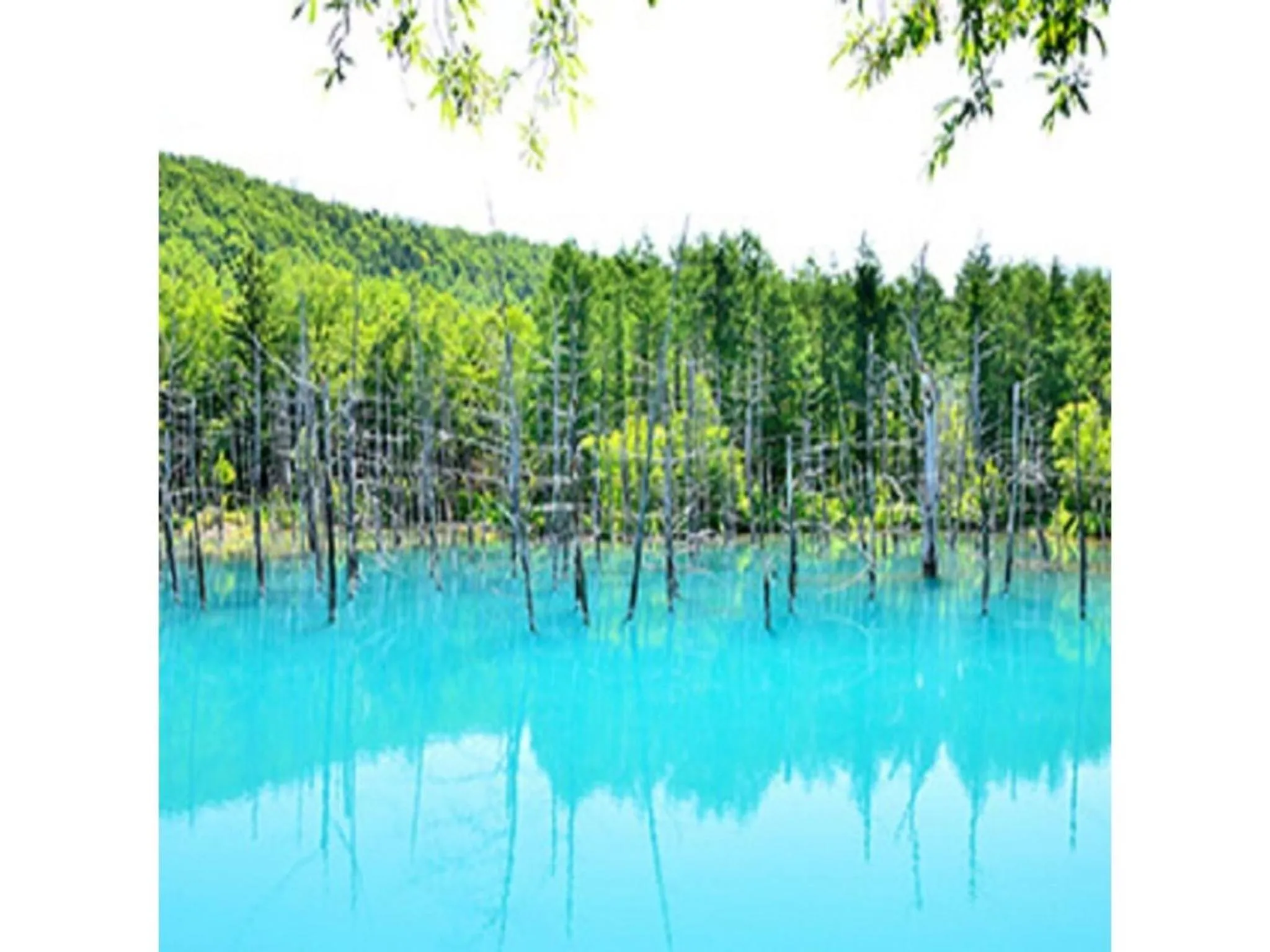 Y's Hotel Asahikawa Ekimae - Vacation STAY 65443v