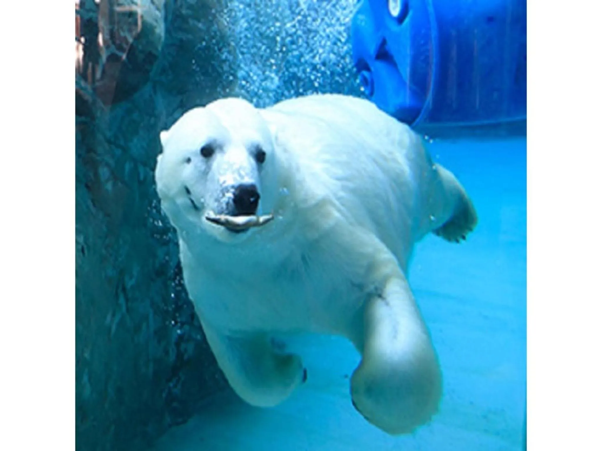 Y's Hotel Asahikawa Ekimae - Vacation STAY 65443v