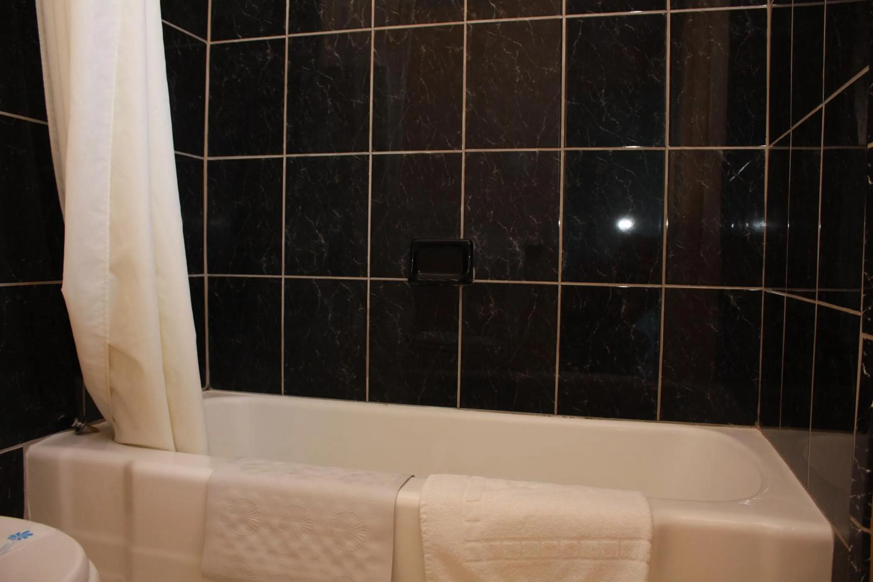 Bathroom in Budget Inn