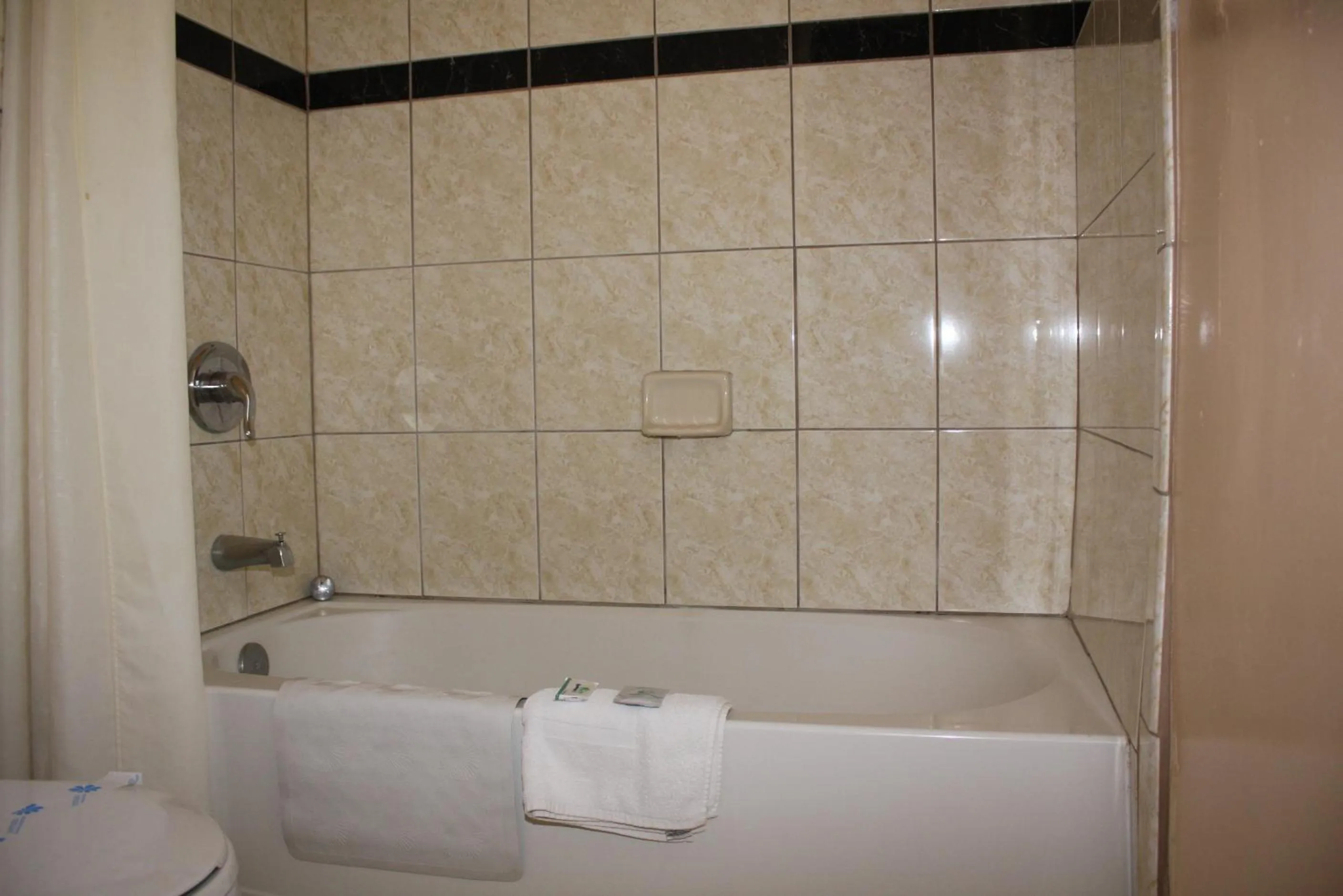 Bathroom in Budget Inn