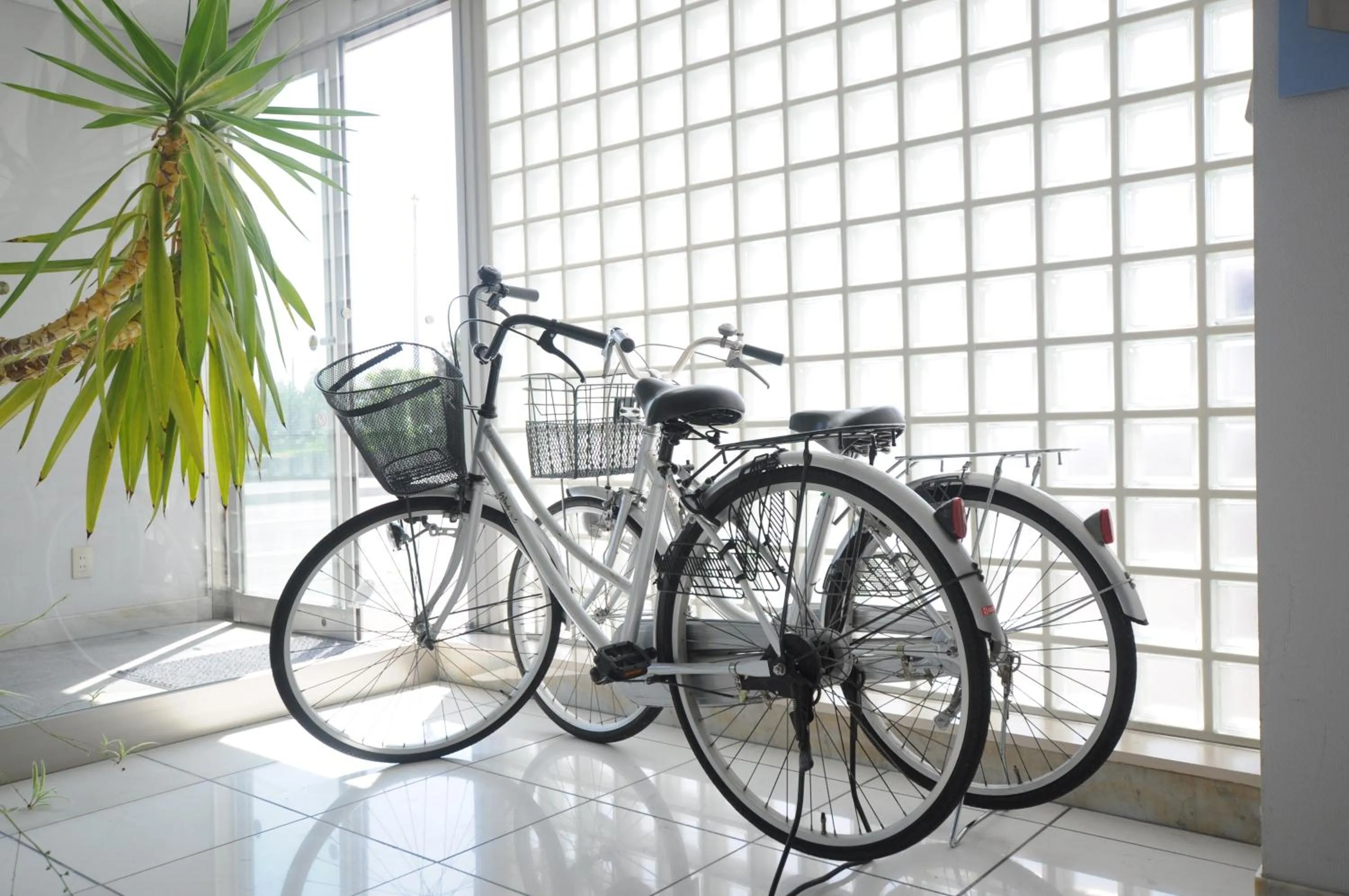 Cycling in Hotel Miyuki