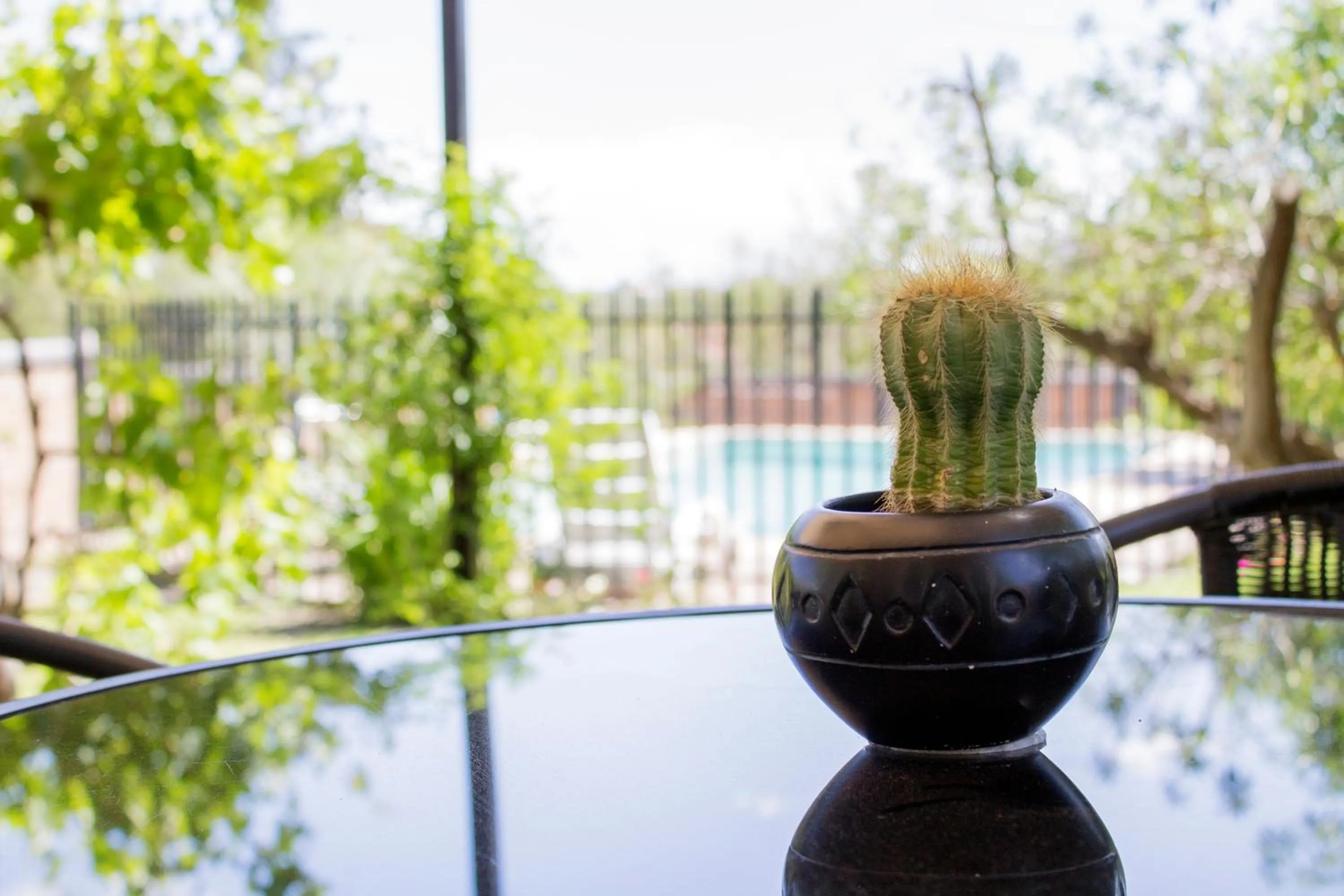 Pool view in Haus Holzapfel