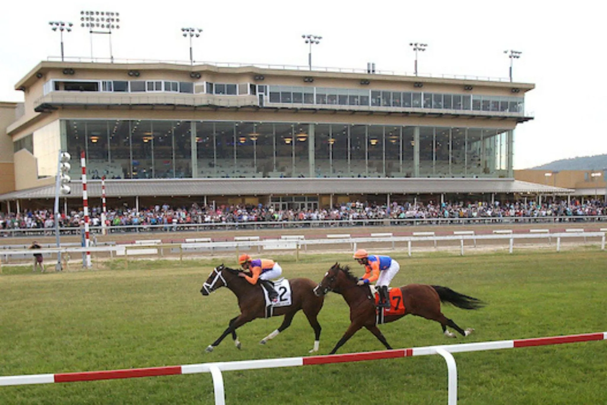 Area and facilities in Holiday Inn Express Harrisburg I-81 - Hershey By IHG