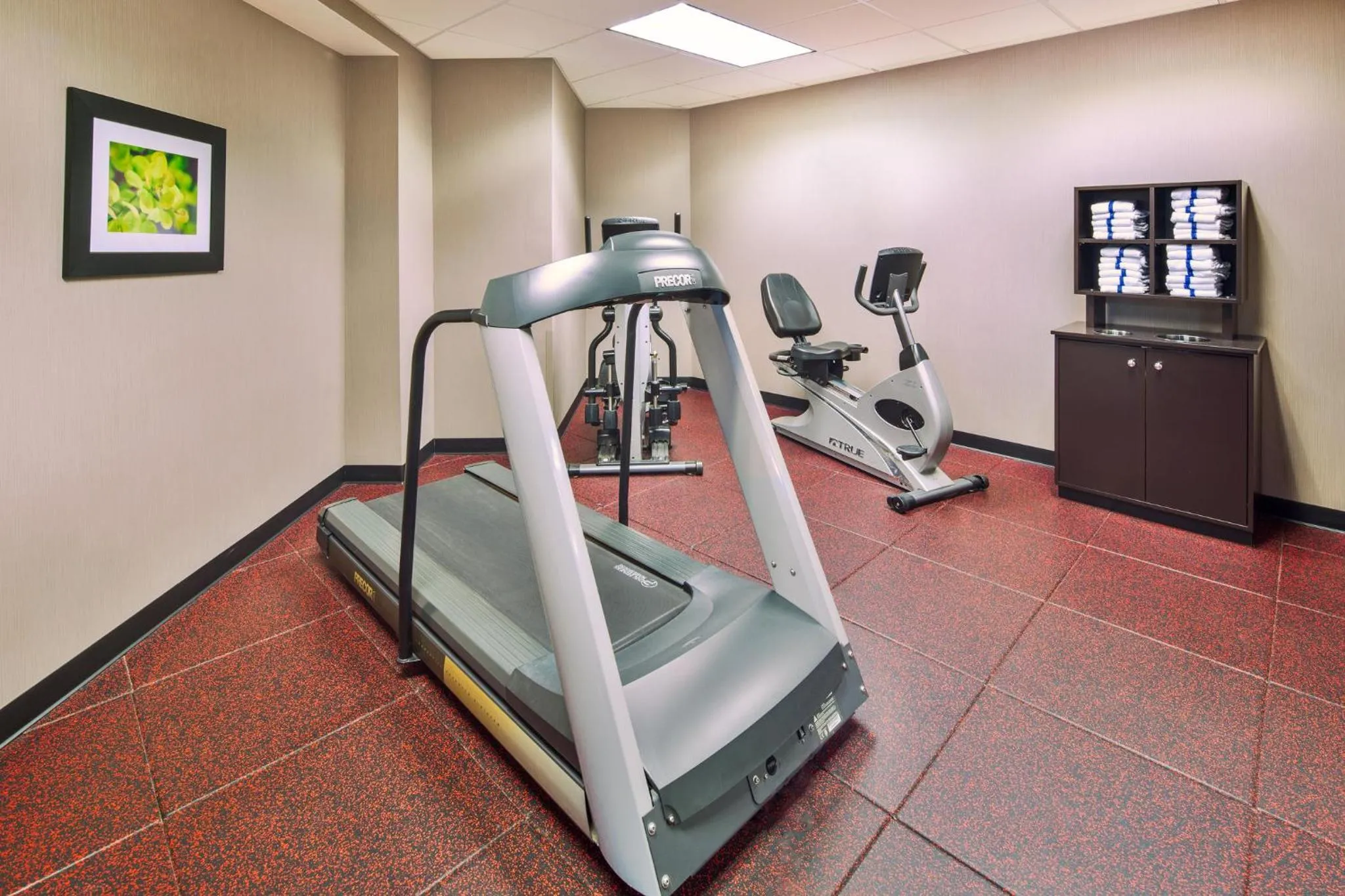 Fitness centre/facilities in Holiday Inn Express Harrisburg I-81 - Hershey By IHG