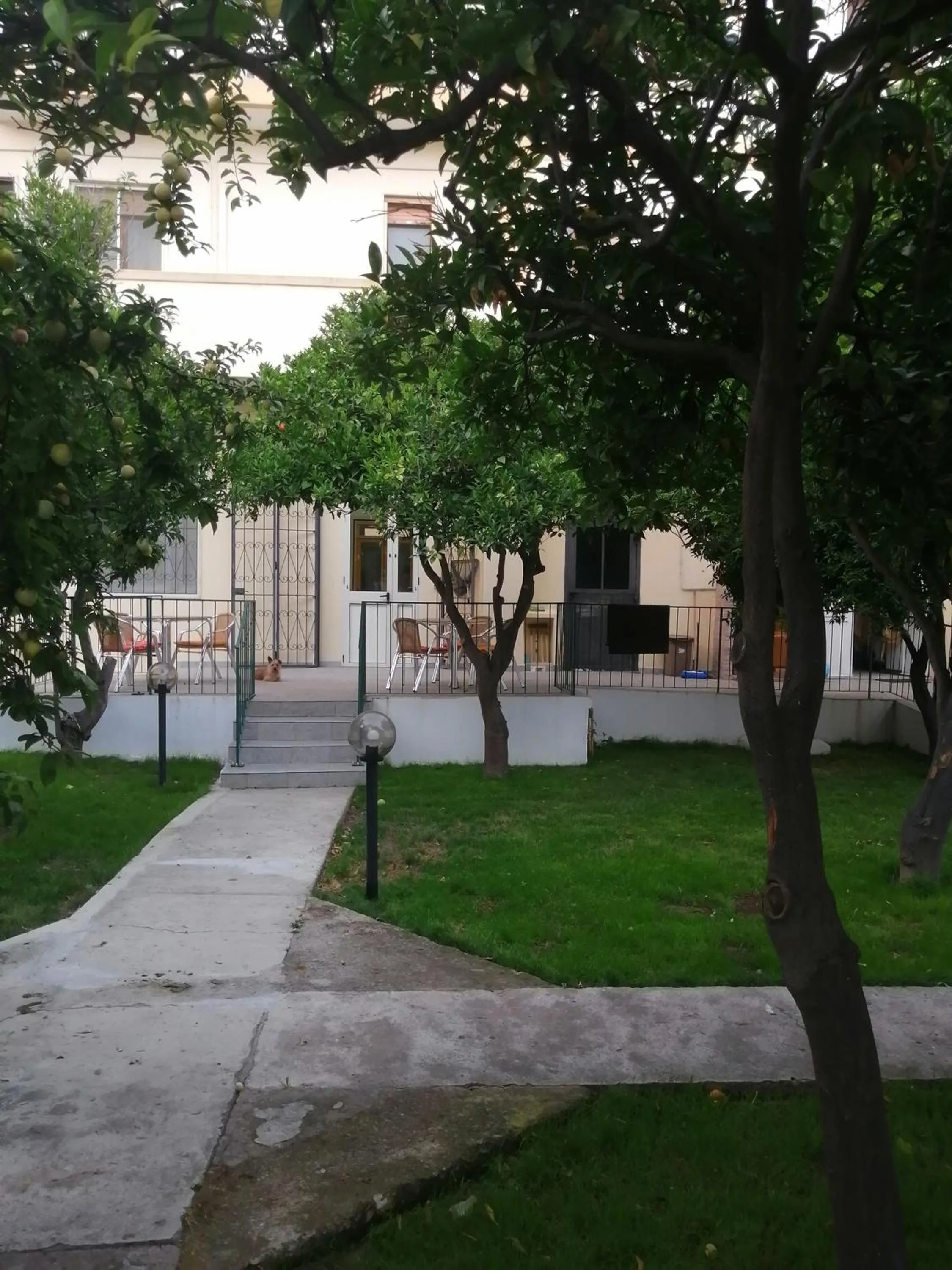 Garden in Hotel Soleo