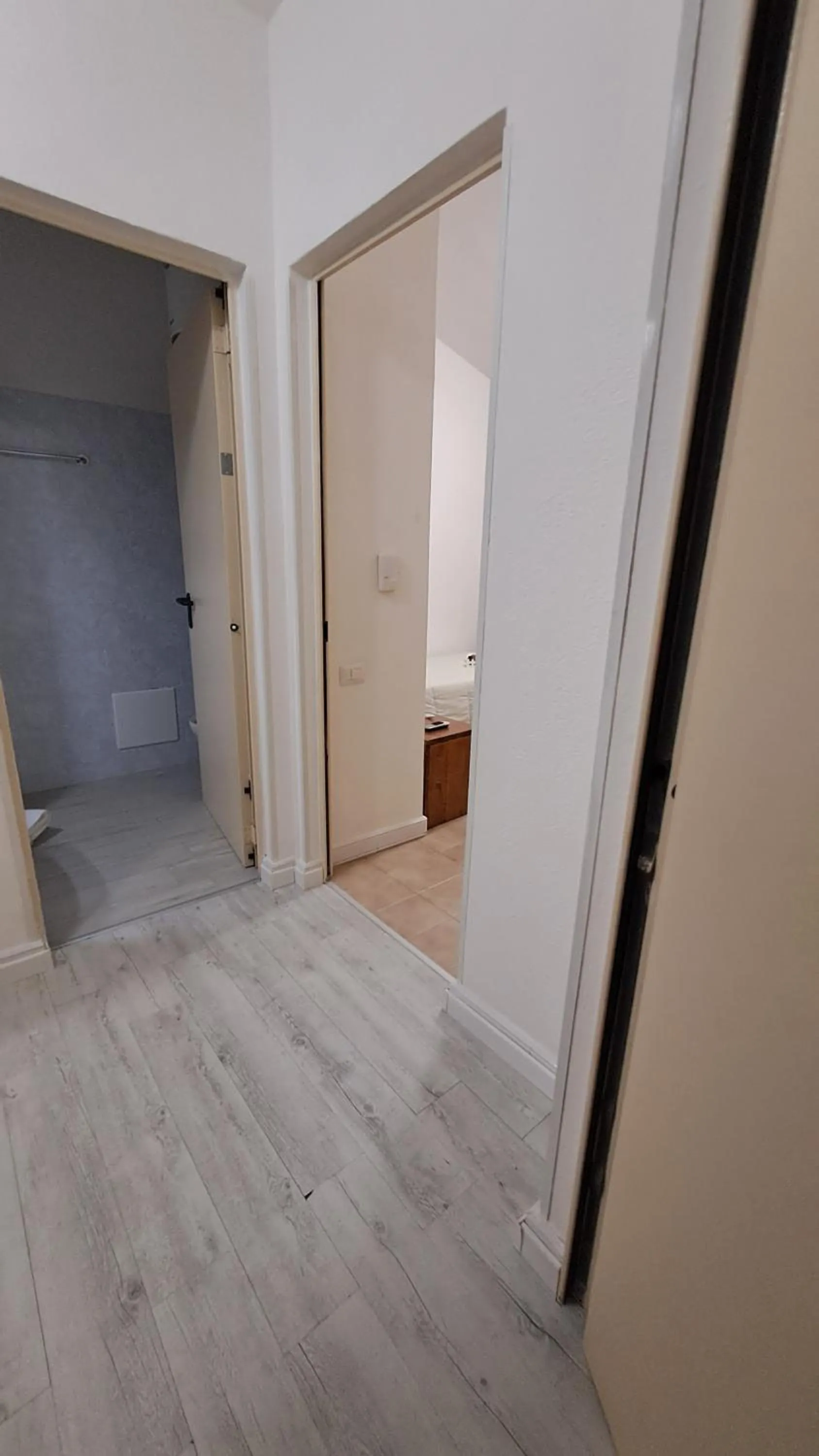 Photo of the whole room in Hotel Soleo