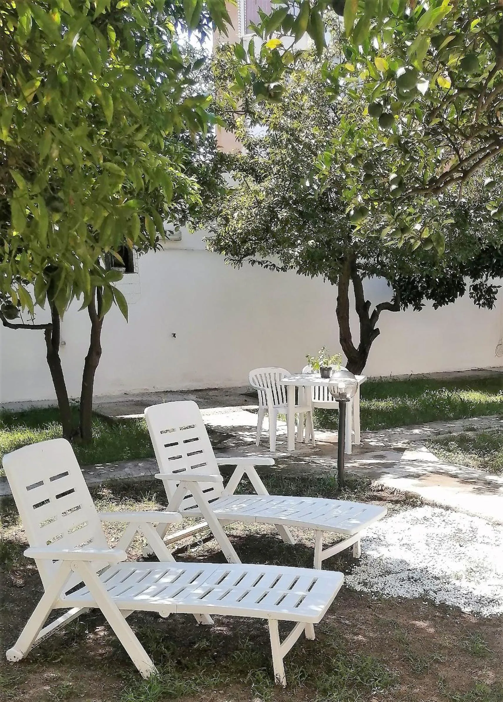 Garden in Hotel Soleo