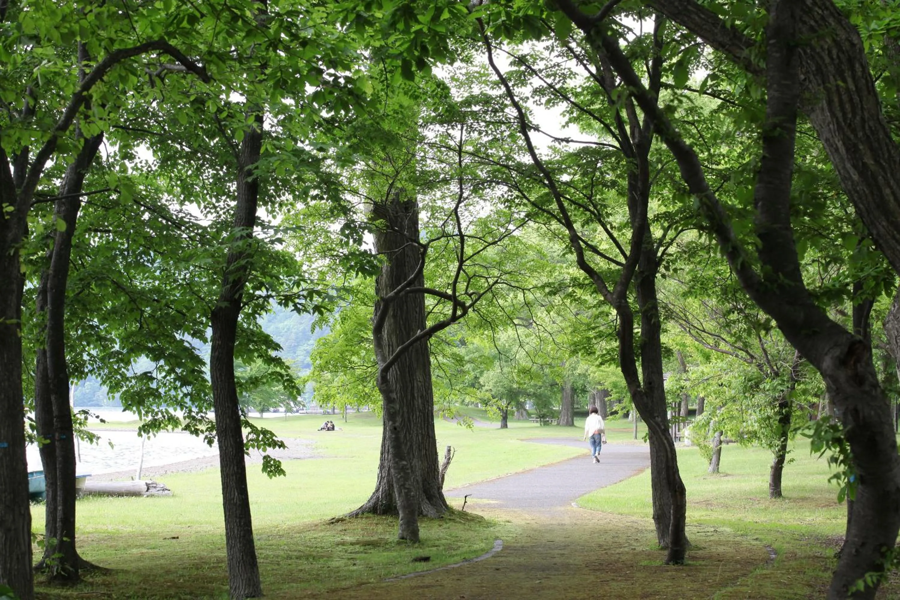 Nearby landmark in Hotel Towadaso