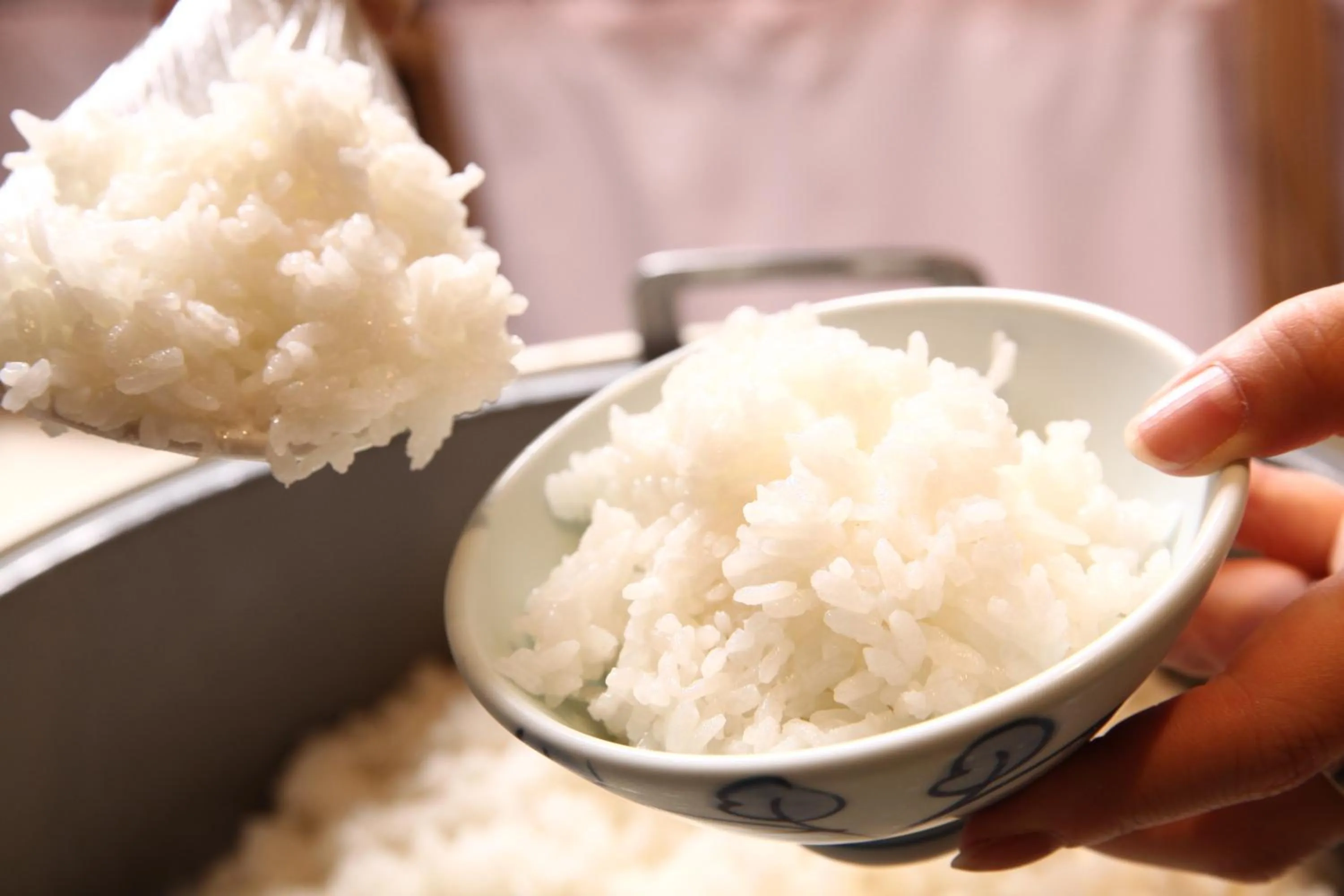 Breakfast in Hotel Towadaso