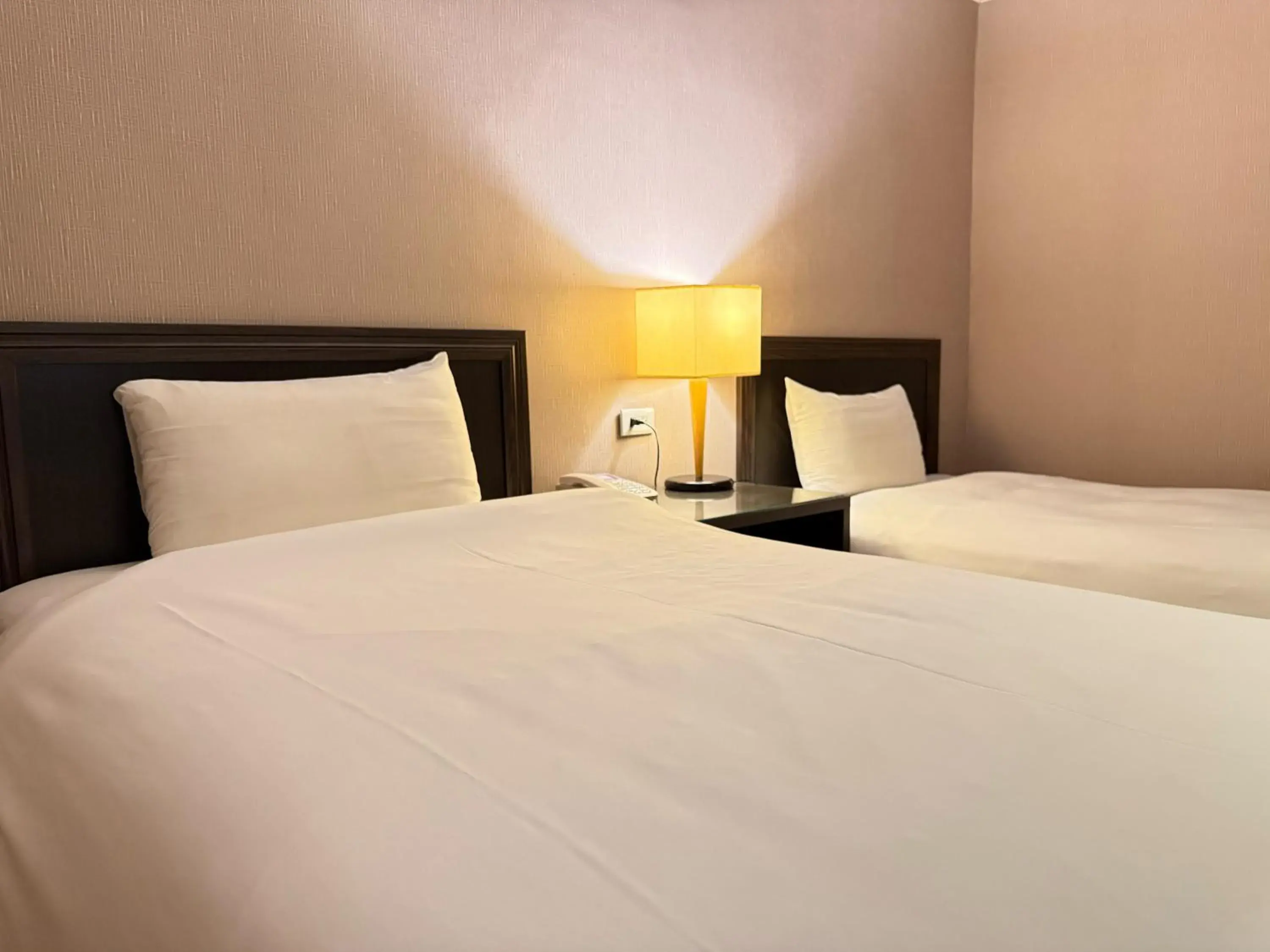 Economy Twin Room (no window) in Well Garden Hotel Economy Twin Room (no window) in Well Garden Hotel